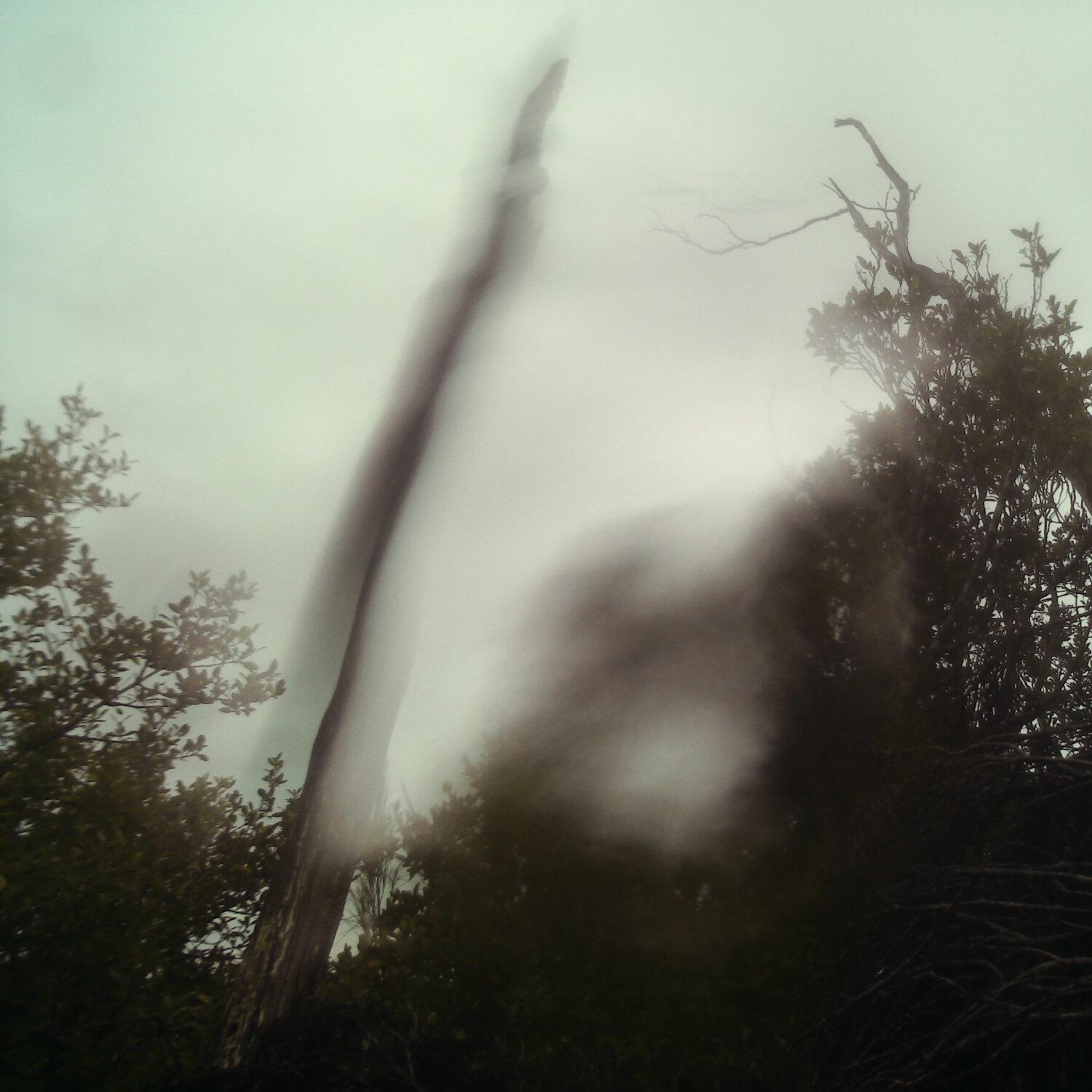A photo captured from the webcam at the time the audio was recorded