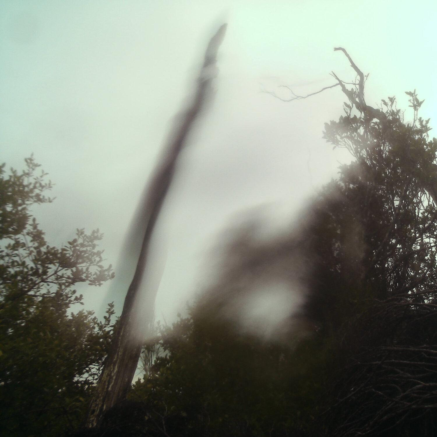 A photo captured from the webcam at the time the audio was recorded