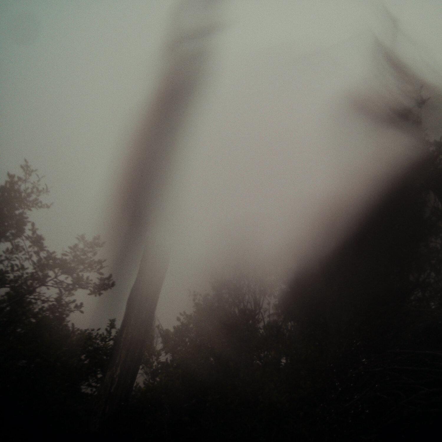 A photo captured from the webcam at the time the audio was recorded
