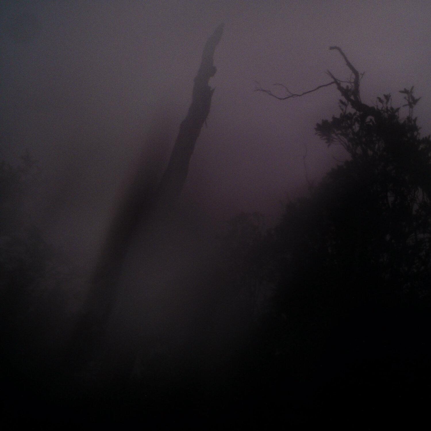 A photo captured from the webcam at the time the audio was recorded