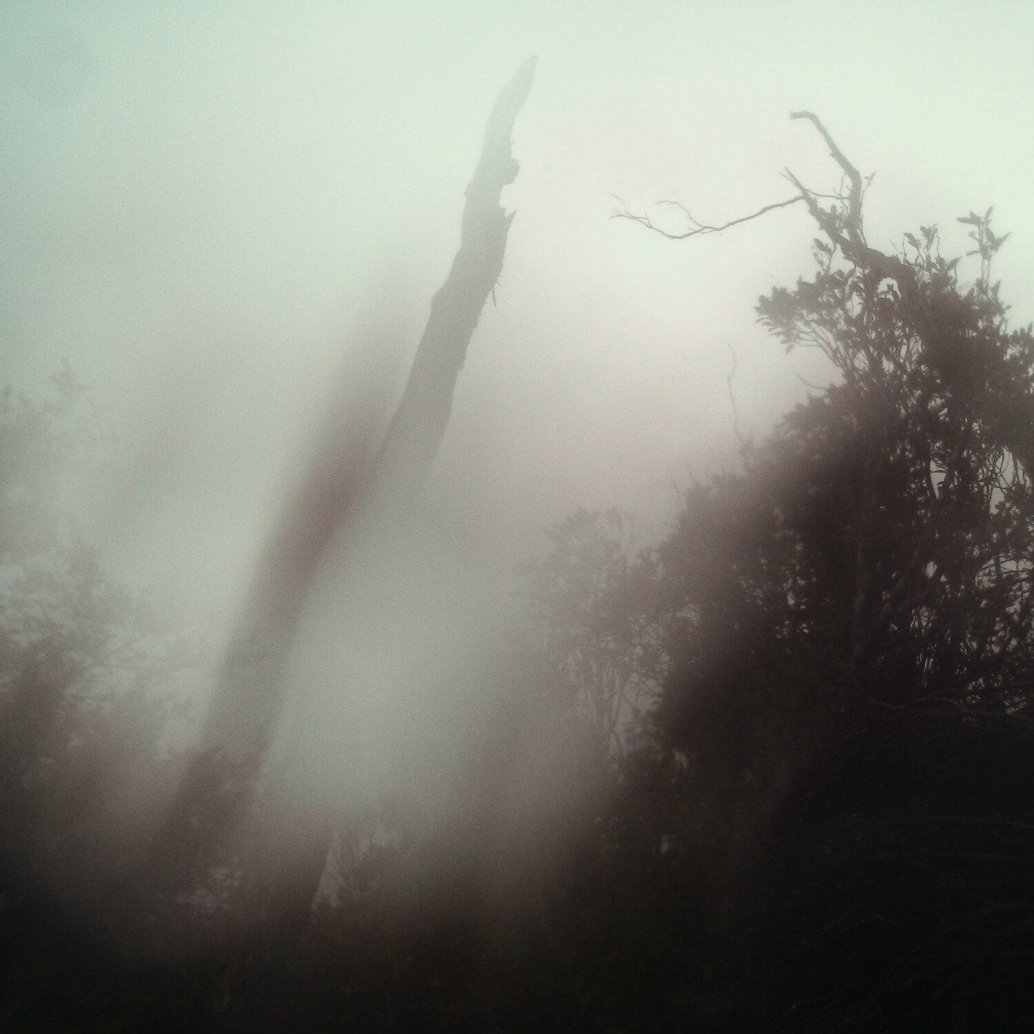 A photo captured from the webcam at the time the audio was recorded