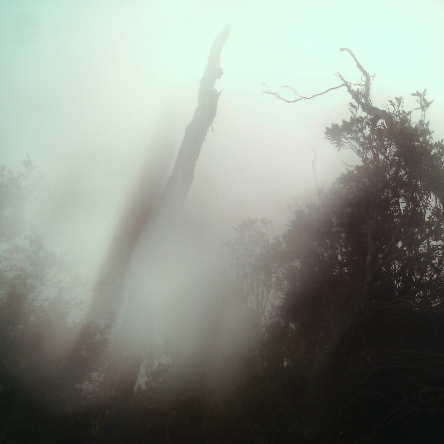 A photo captured from the webcam at the time the audio was recorded