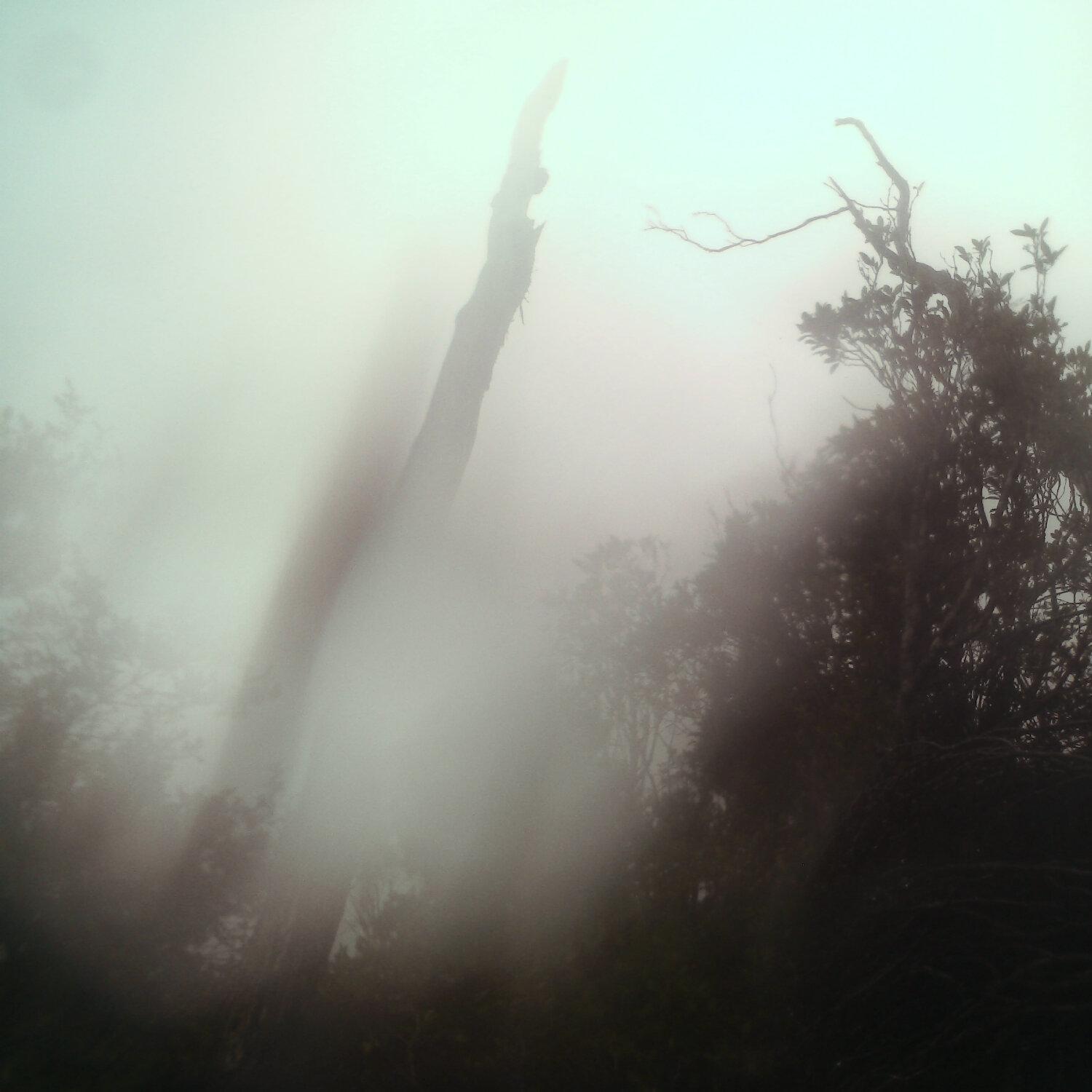 A photo captured from the webcam at the time the audio was recorded
