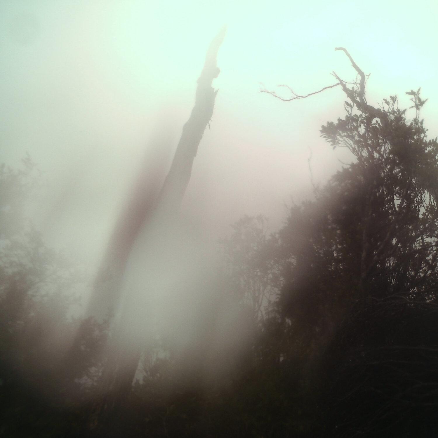 A photo captured from the webcam at the time the audio was recorded