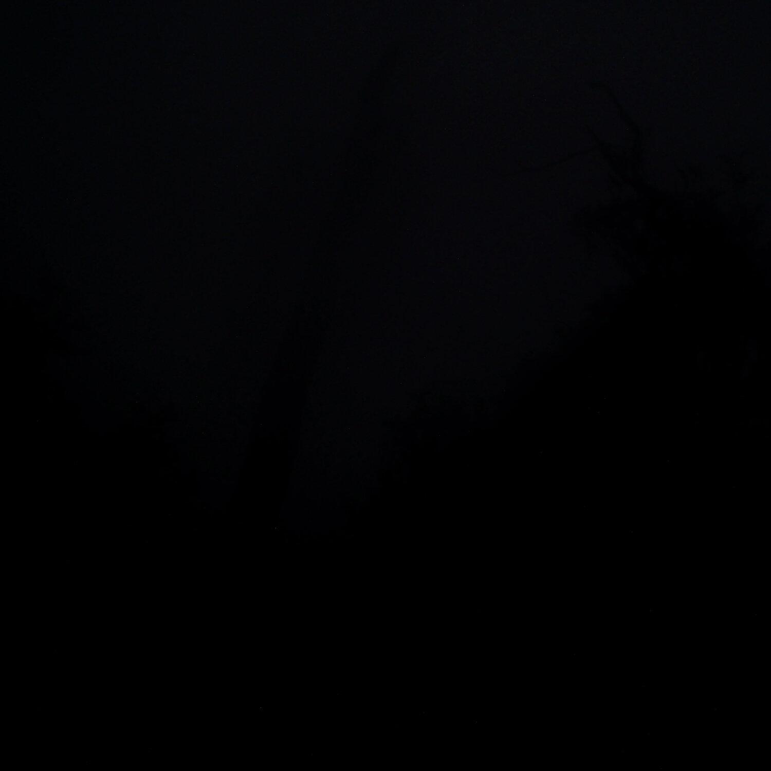 A photo captured from the webcam at the time the audio was recorded