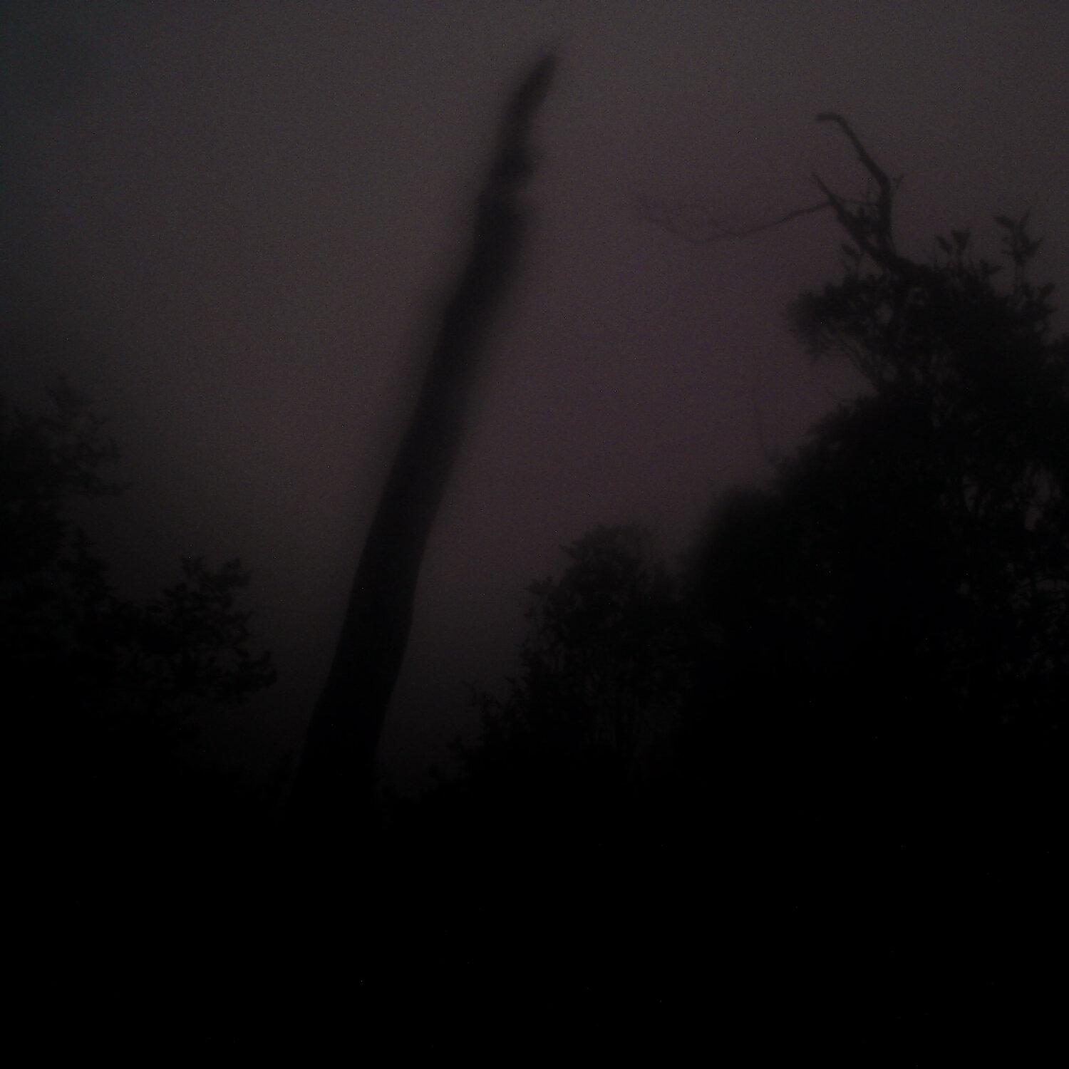 A photo captured from the webcam at the time the audio was recorded
