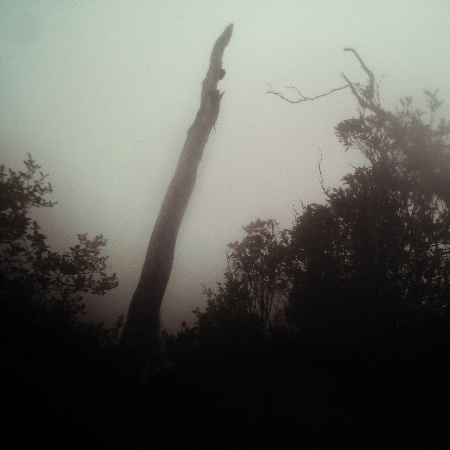 A photo captured from the webcam at the time the audio was recorded