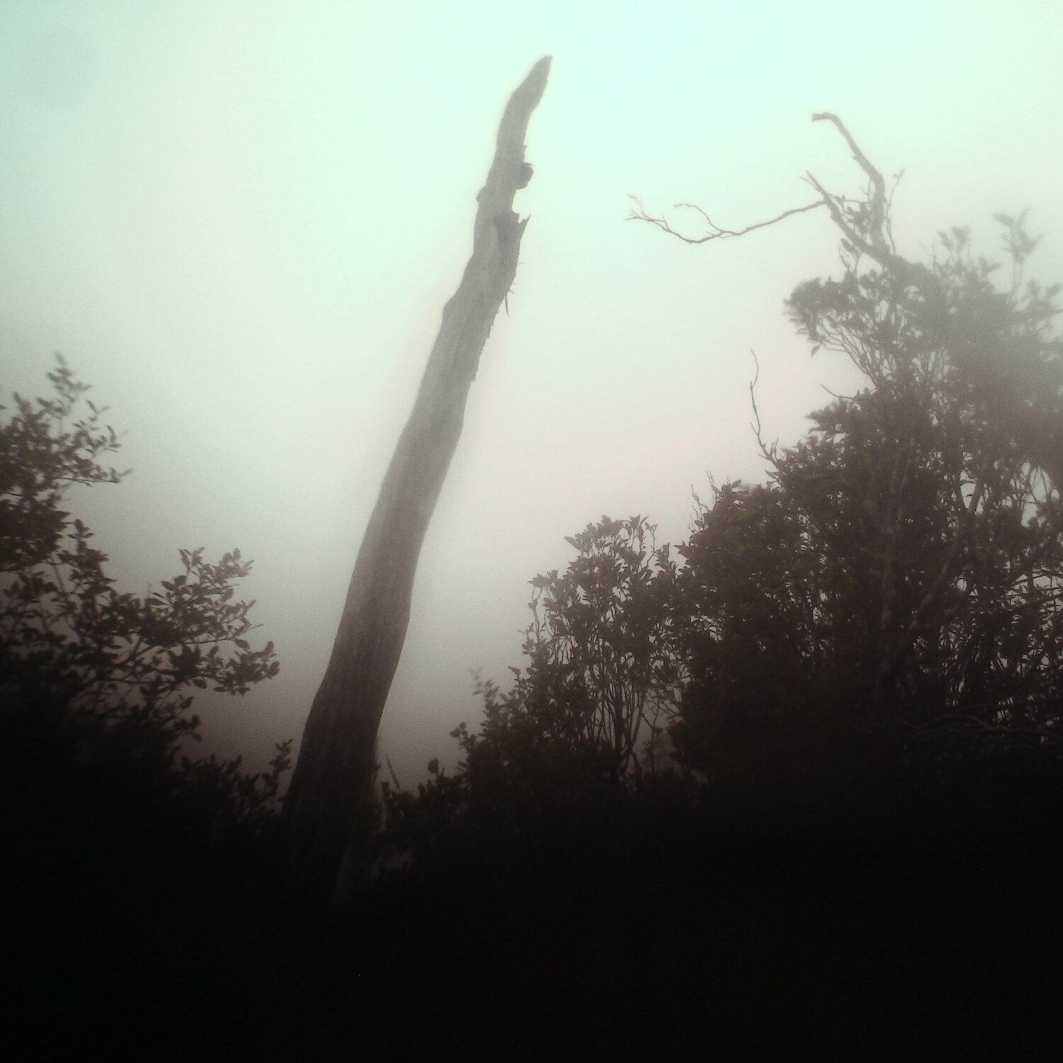 A photo captured from the webcam at the time the audio was recorded