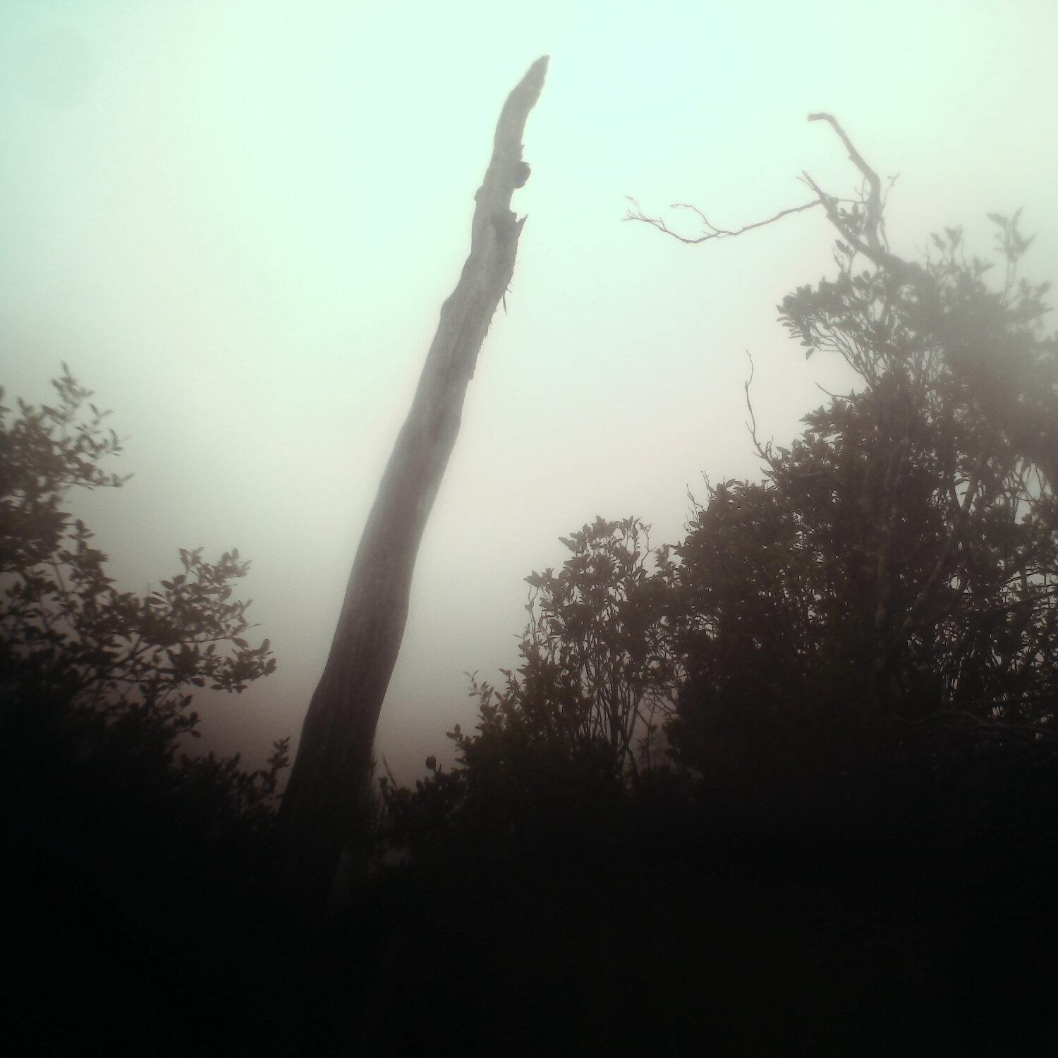 A photo captured from the webcam at the time the audio was recorded