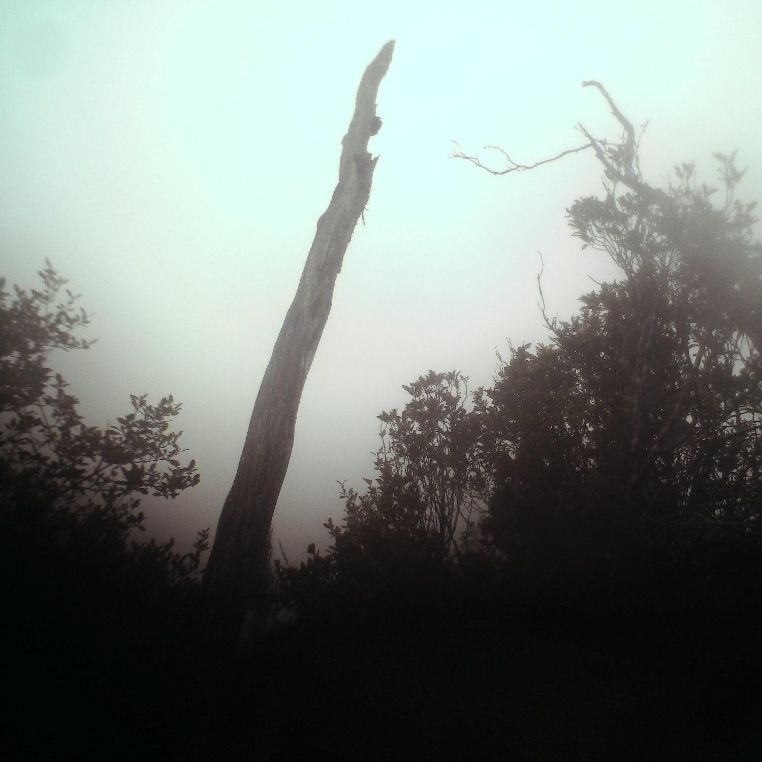 A photo captured from the webcam at the time the audio was recorded
