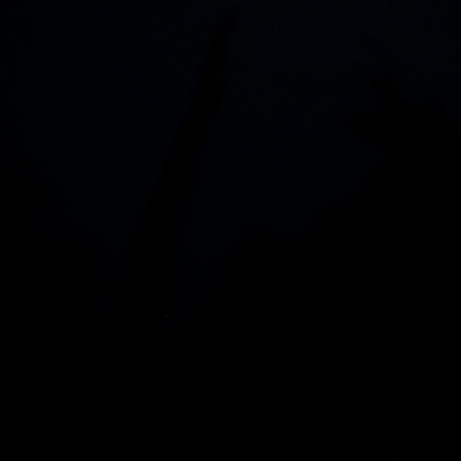 A photo captured from the webcam at the time the audio was recorded