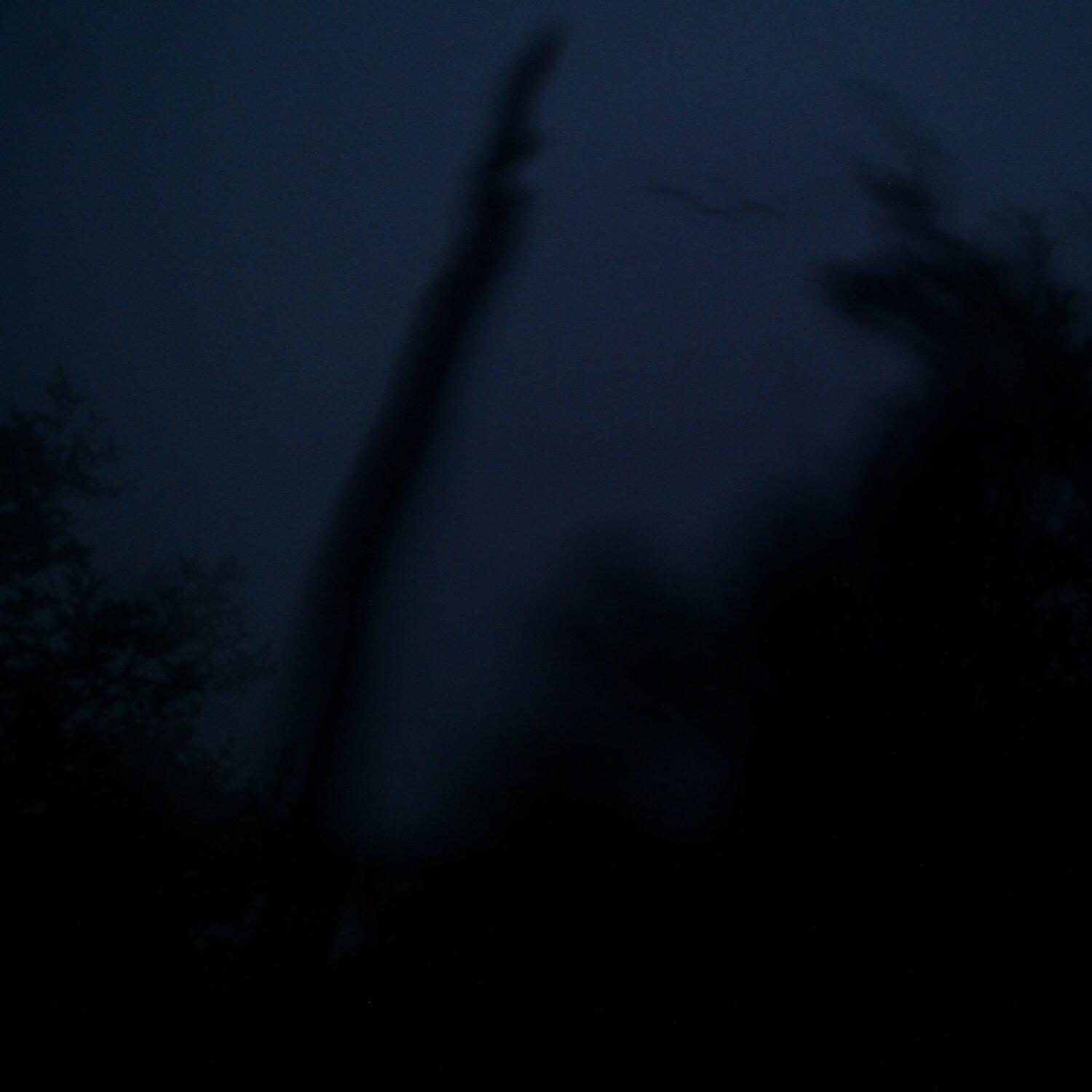 A photo captured from the webcam at the time the audio was recorded