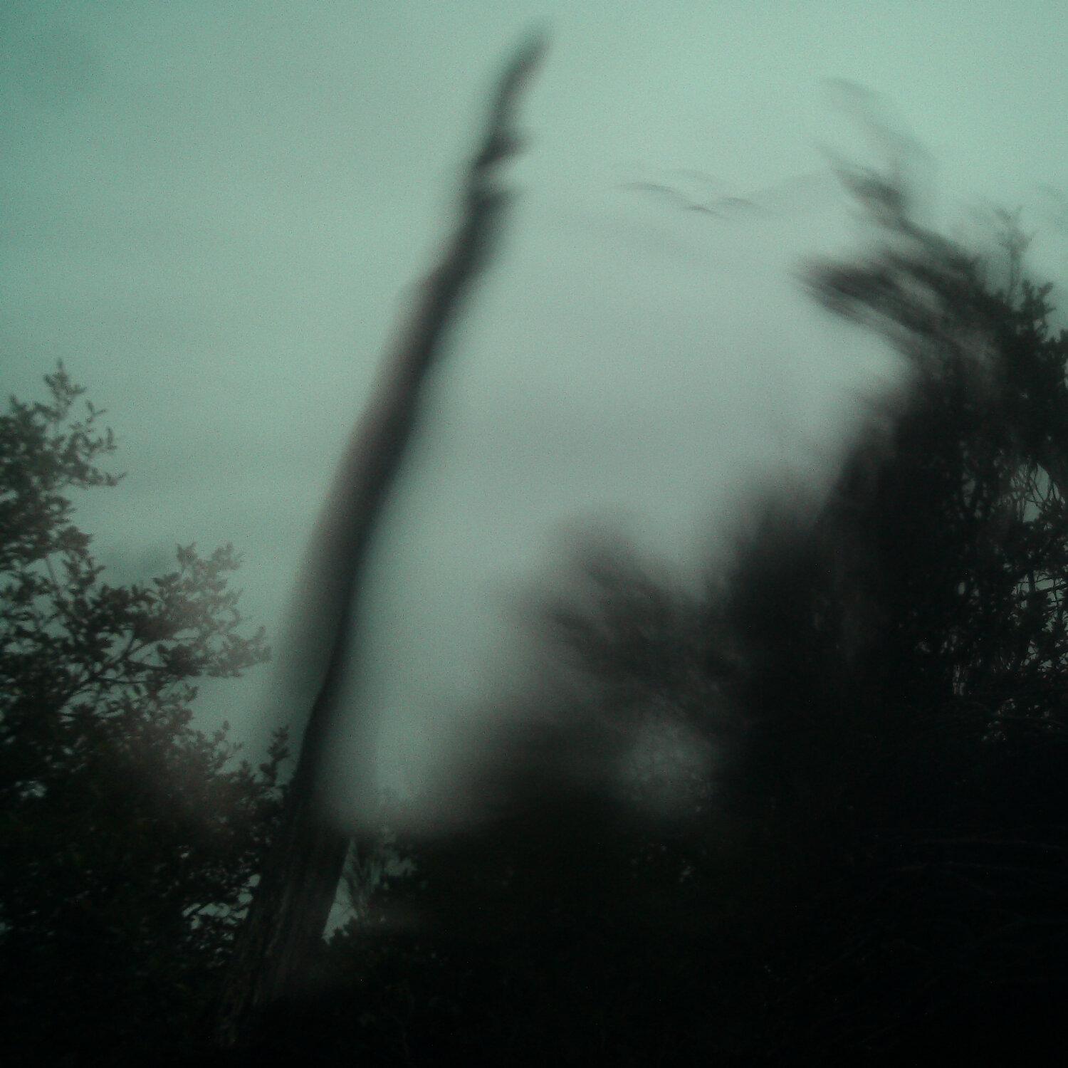 A photo captured from the webcam at the time the audio was recorded