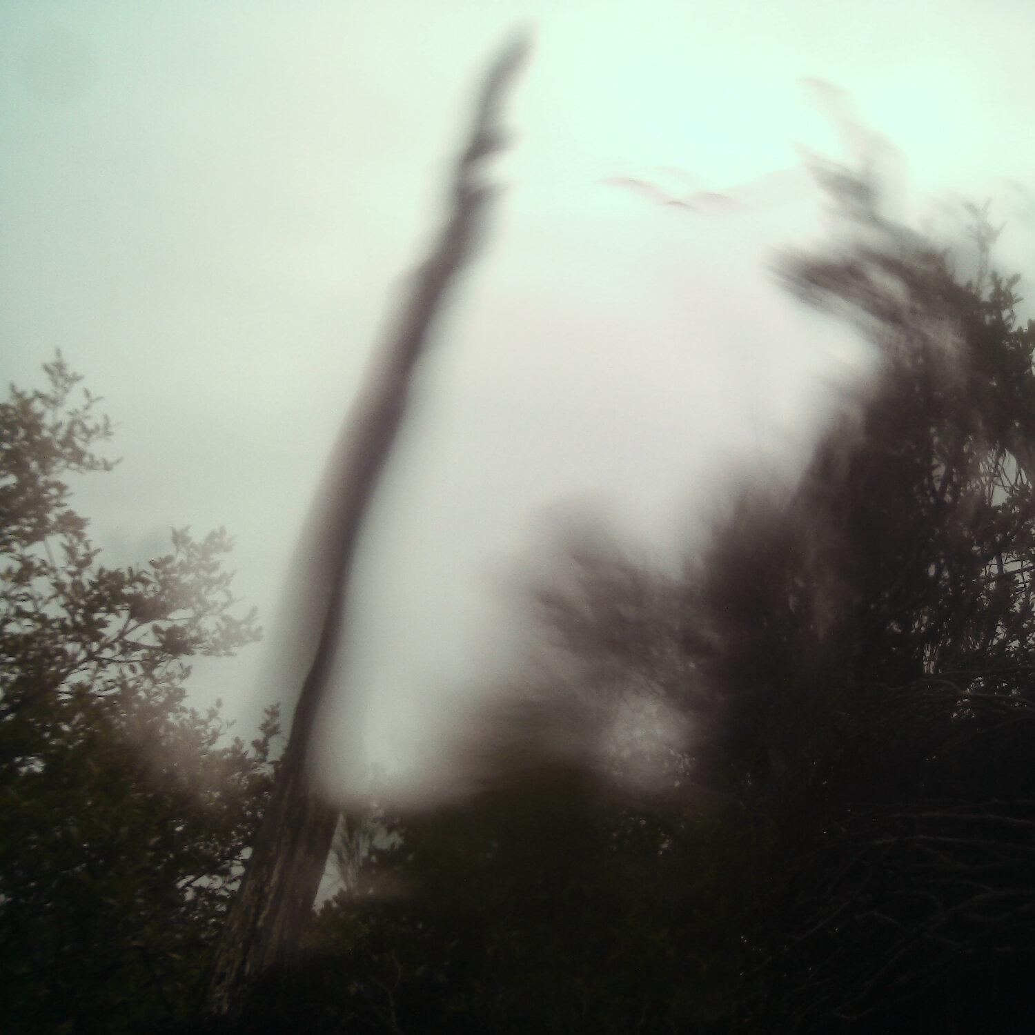 A photo captured from the webcam at the time the audio was recorded