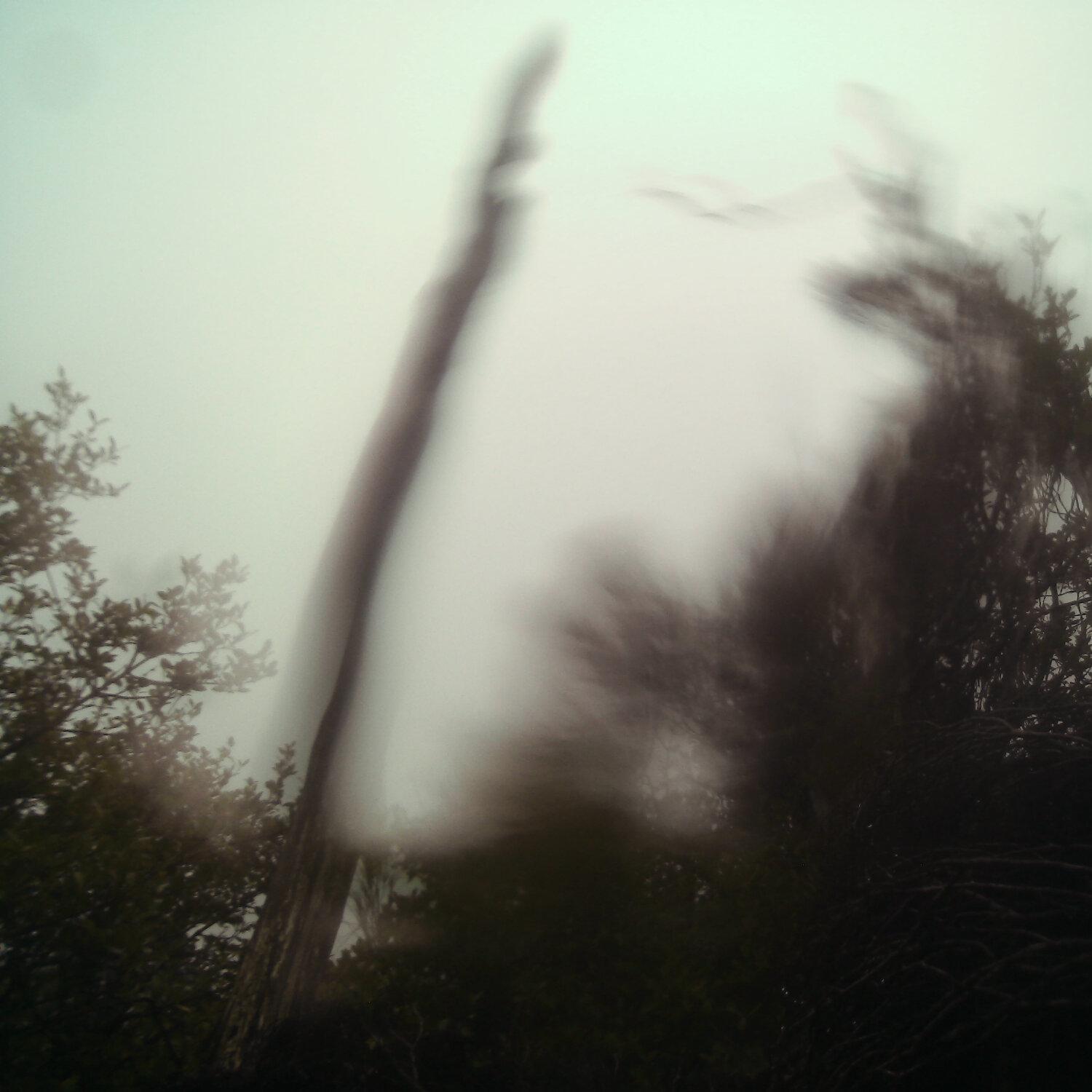 A photo captured from the webcam at the time the audio was recorded