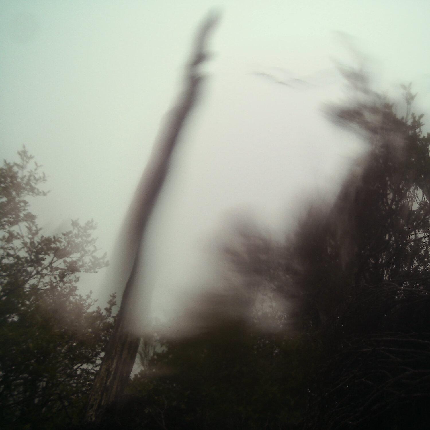A photo captured from the webcam at the time the audio was recorded