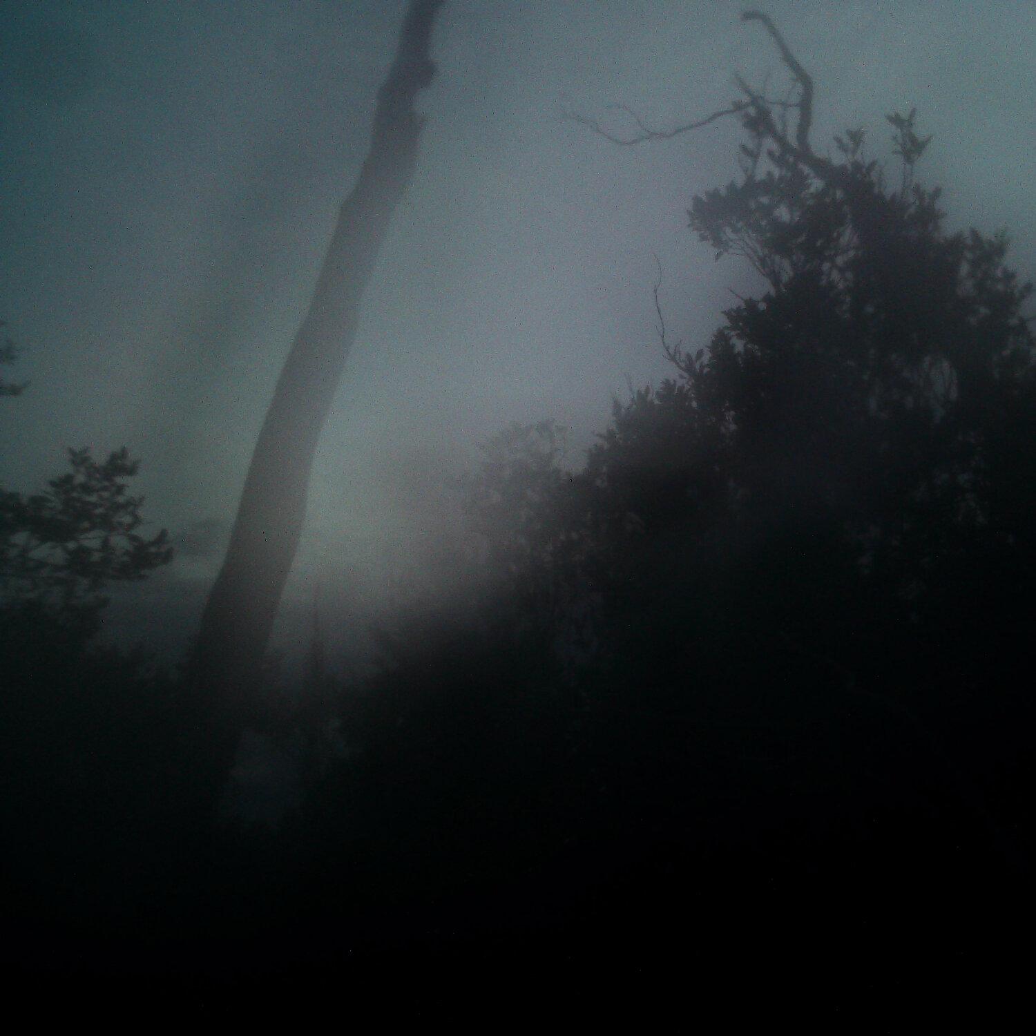 A photo captured from the webcam at the time the audio was recorded