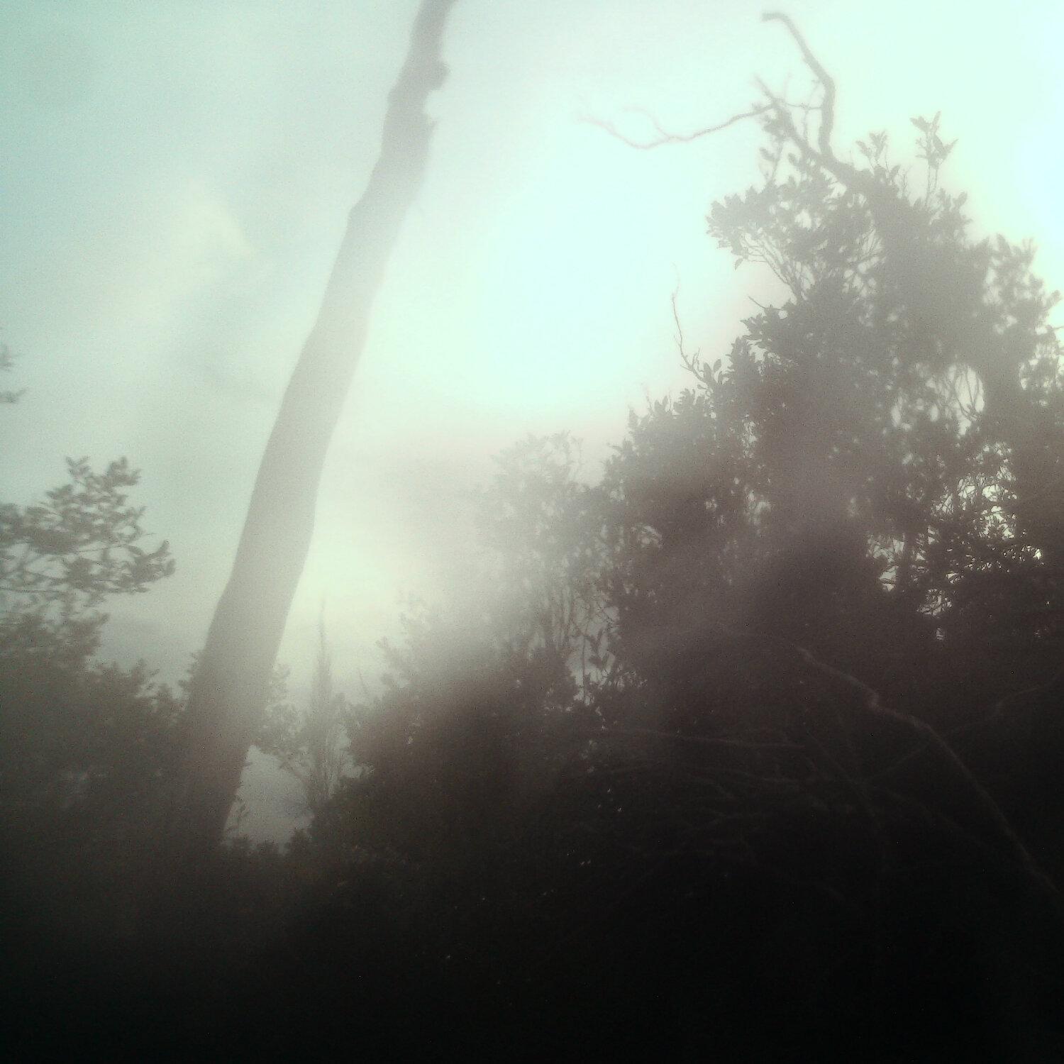 A photo captured from the webcam at the time the audio was recorded