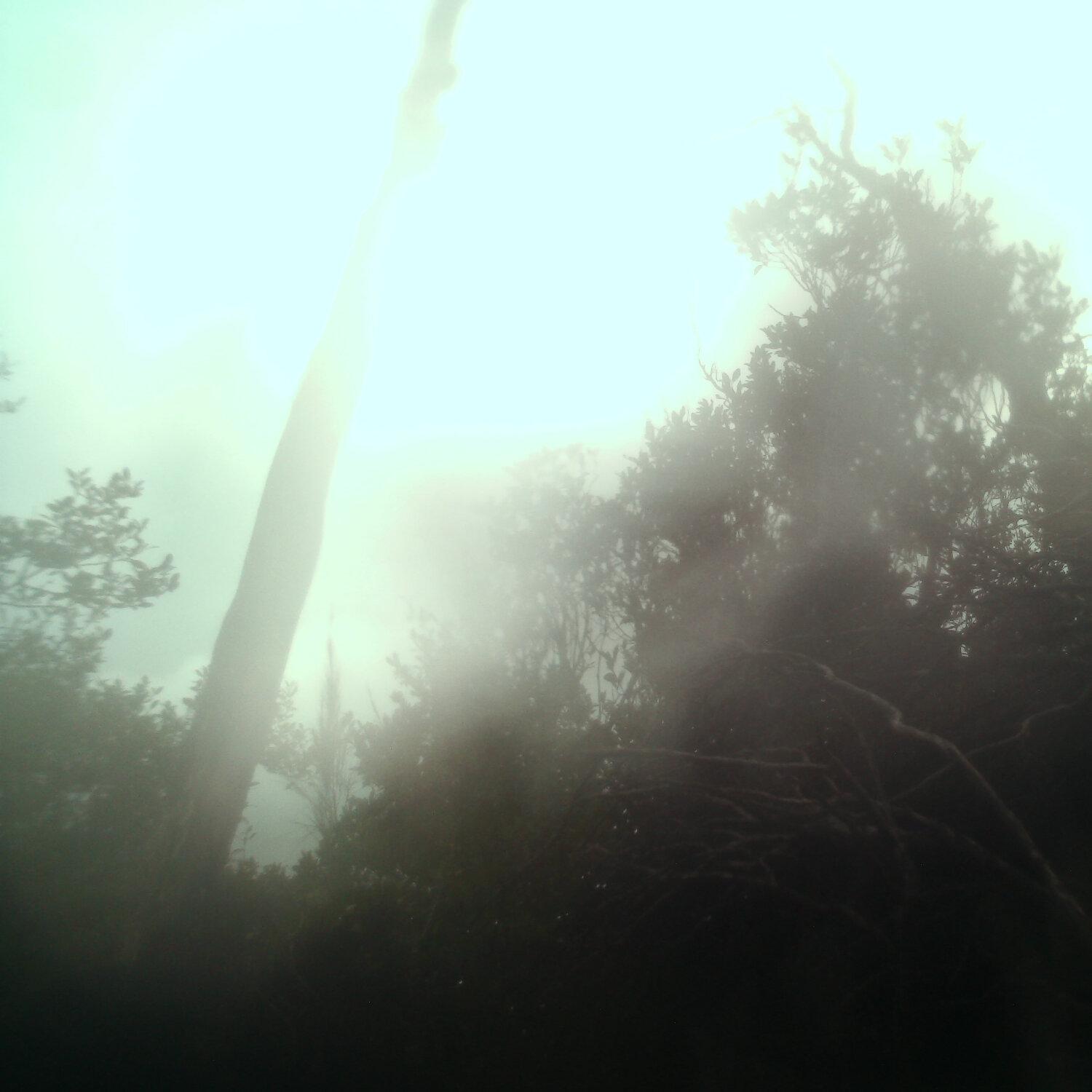 A photo captured from the webcam at the time the audio was recorded