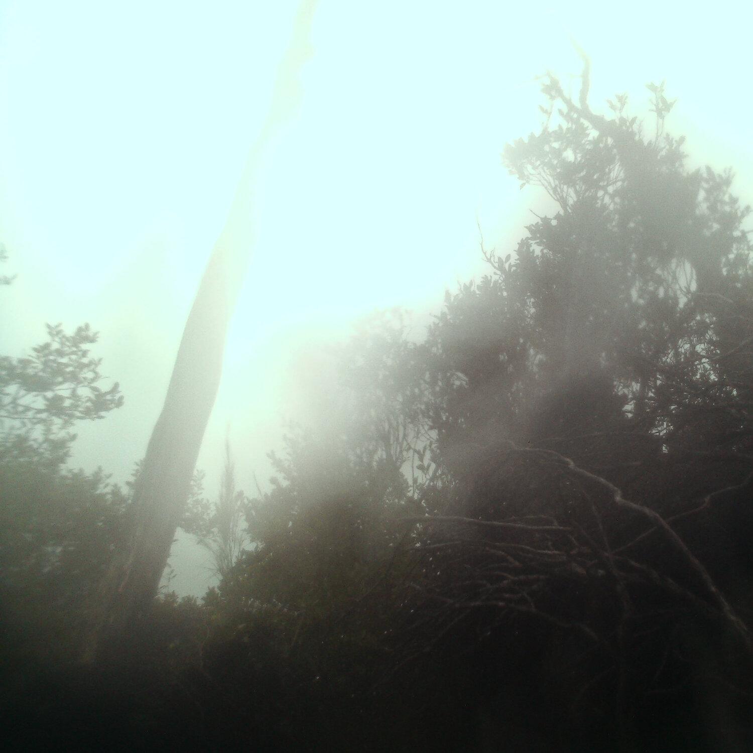 A photo captured from the webcam at the time the audio was recorded