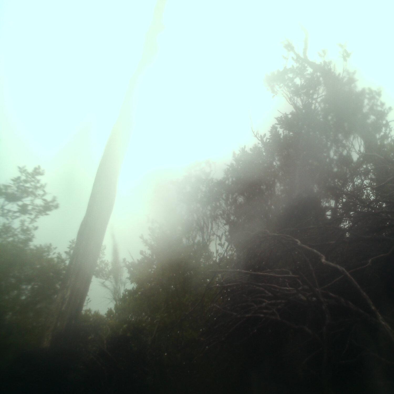 A photo captured from the webcam at the time the audio was recorded