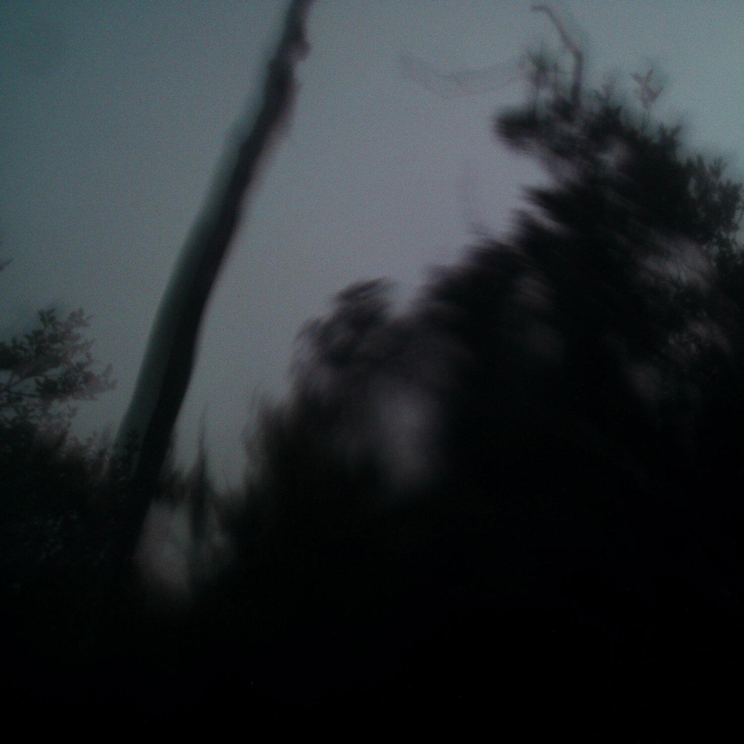 A photo captured from the webcam at the time the audio was recorded