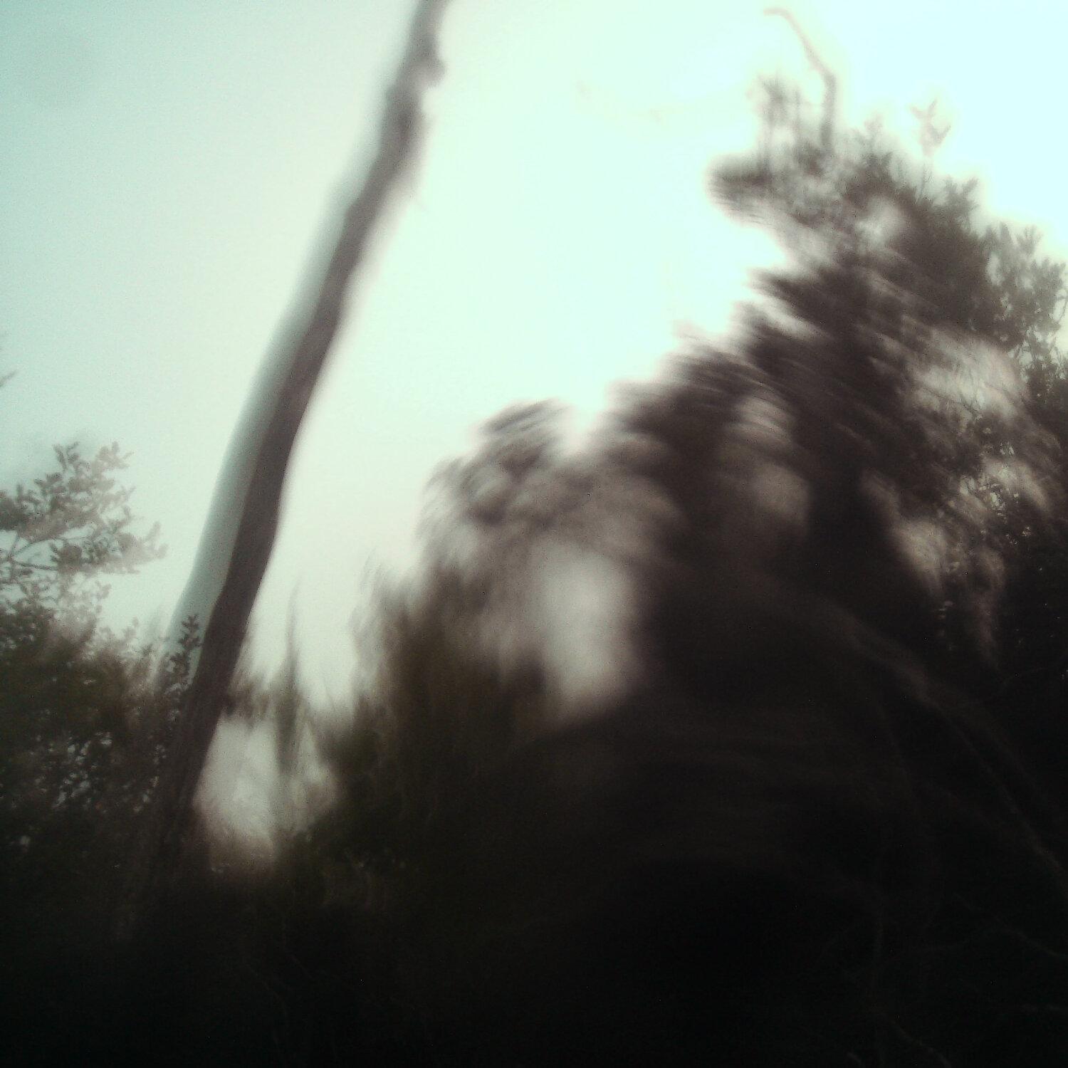 A photo captured from the webcam at the time the audio was recorded