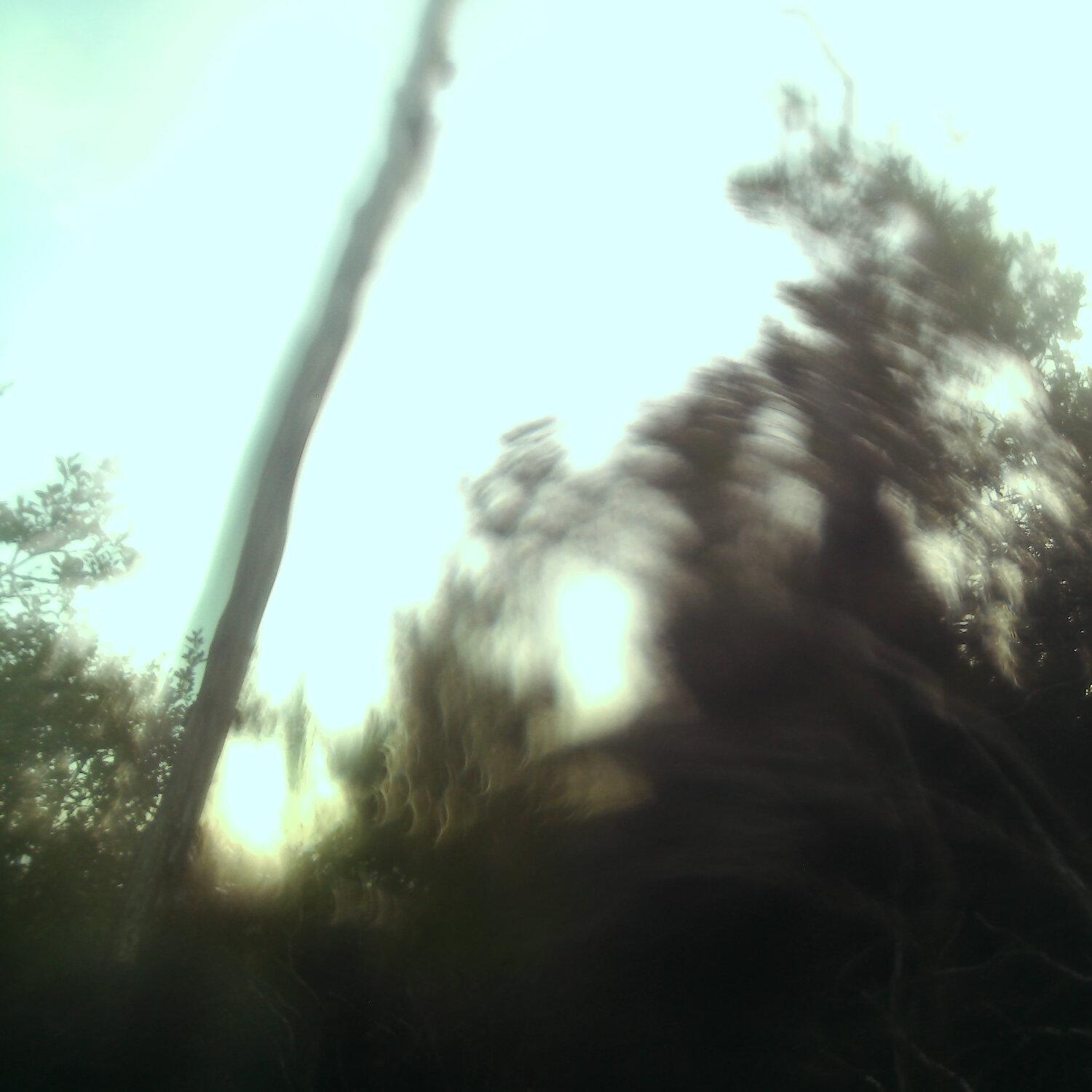 A photo captured from the webcam at the time the audio was recorded