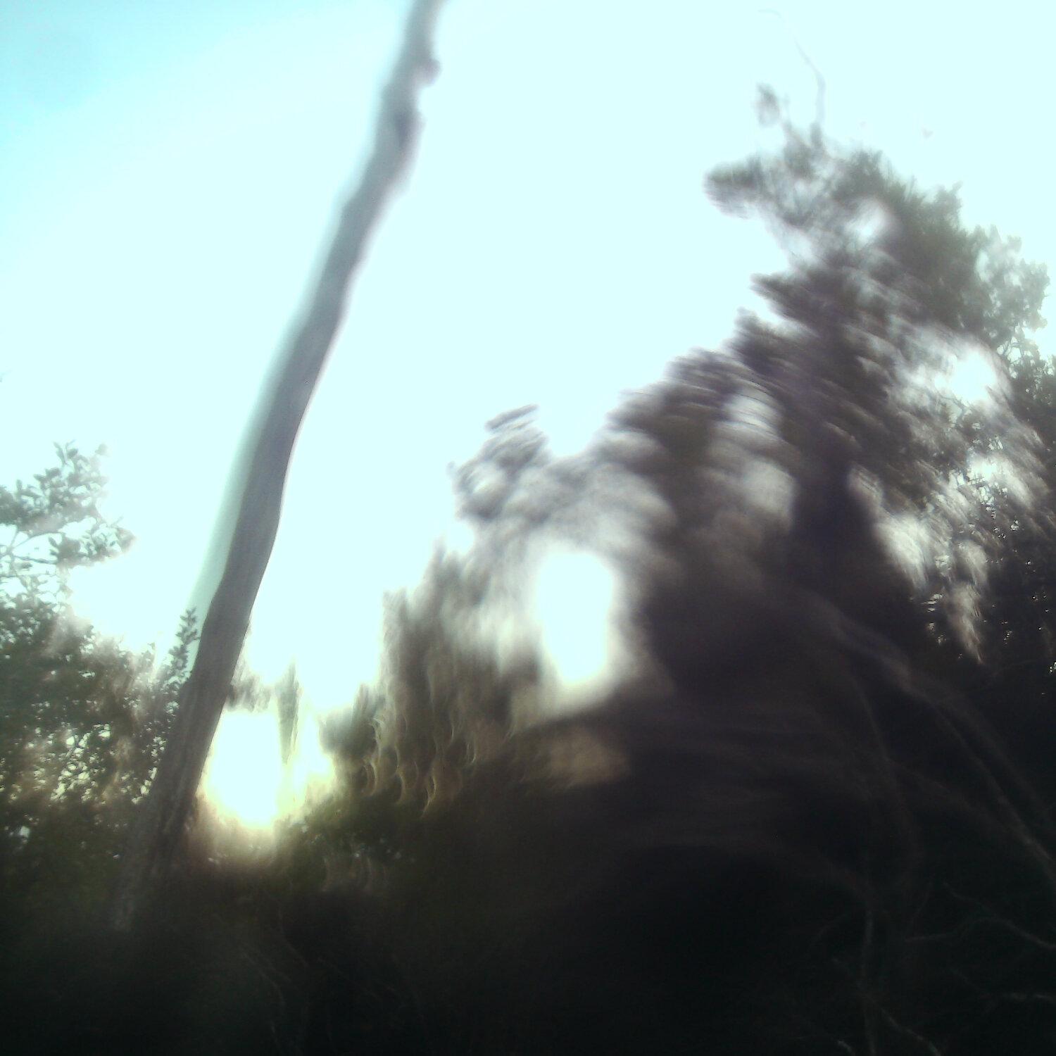 A photo captured from the webcam at the time the audio was recorded