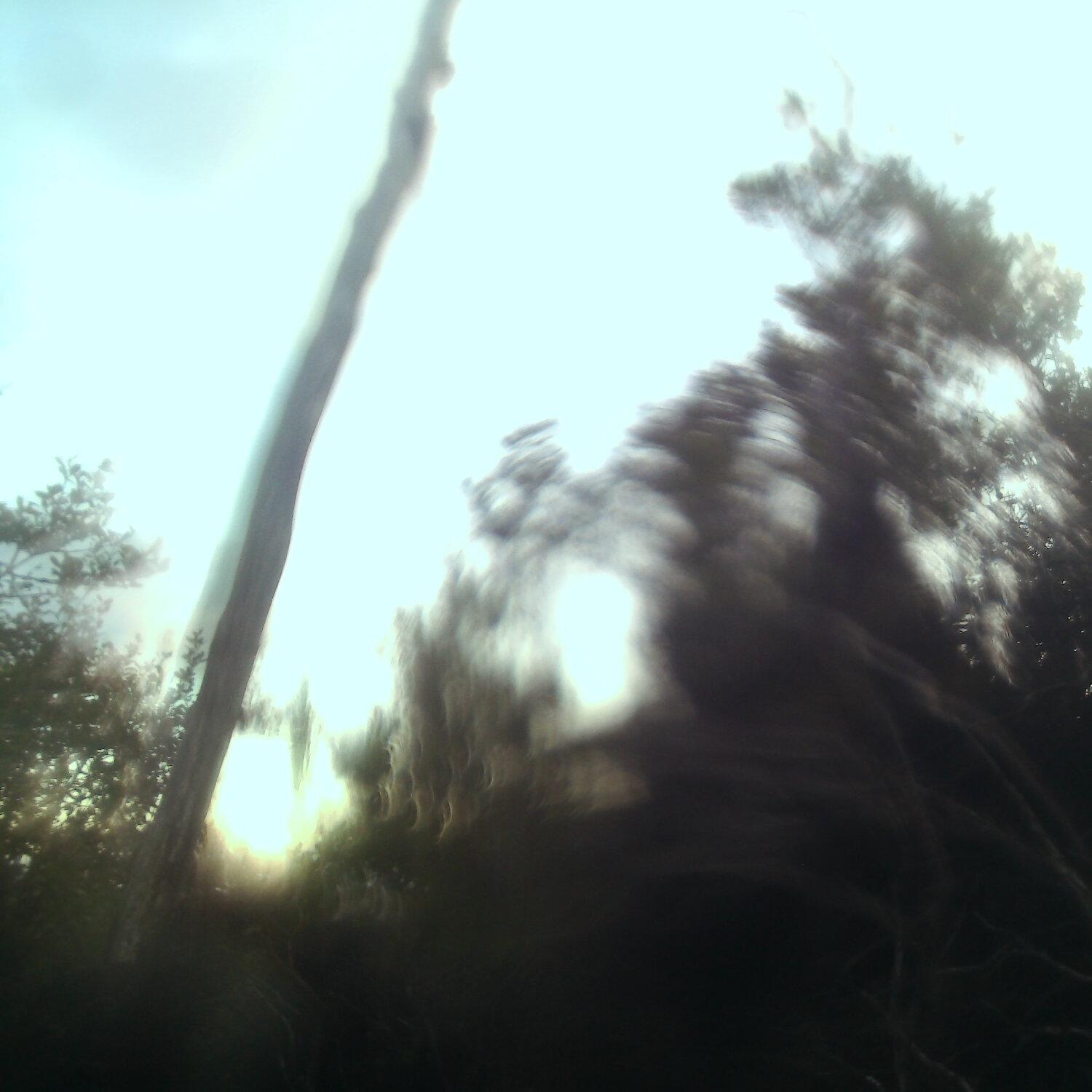 A photo captured from the webcam at the time the audio was recorded