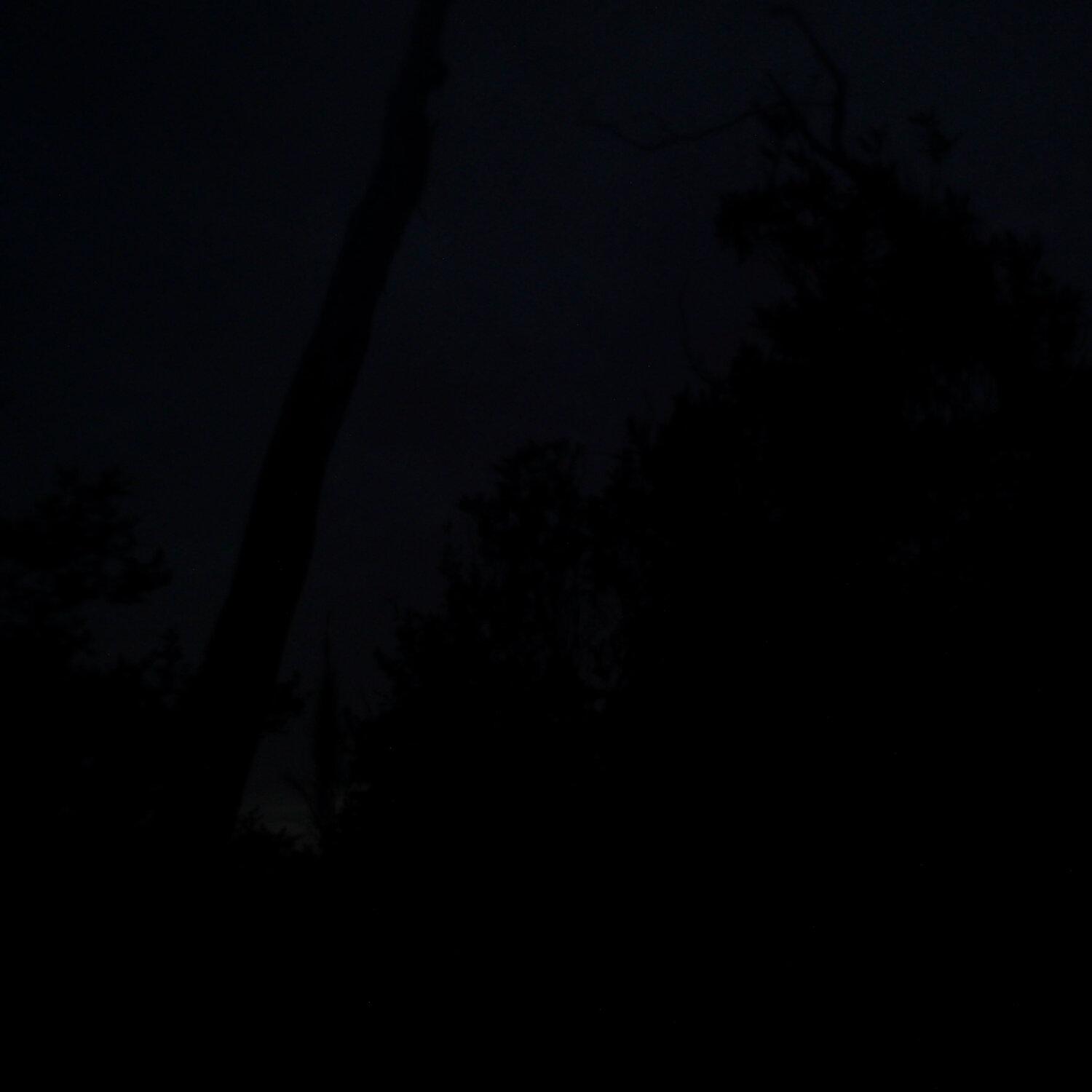 A photo captured from the webcam at the time the audio was recorded