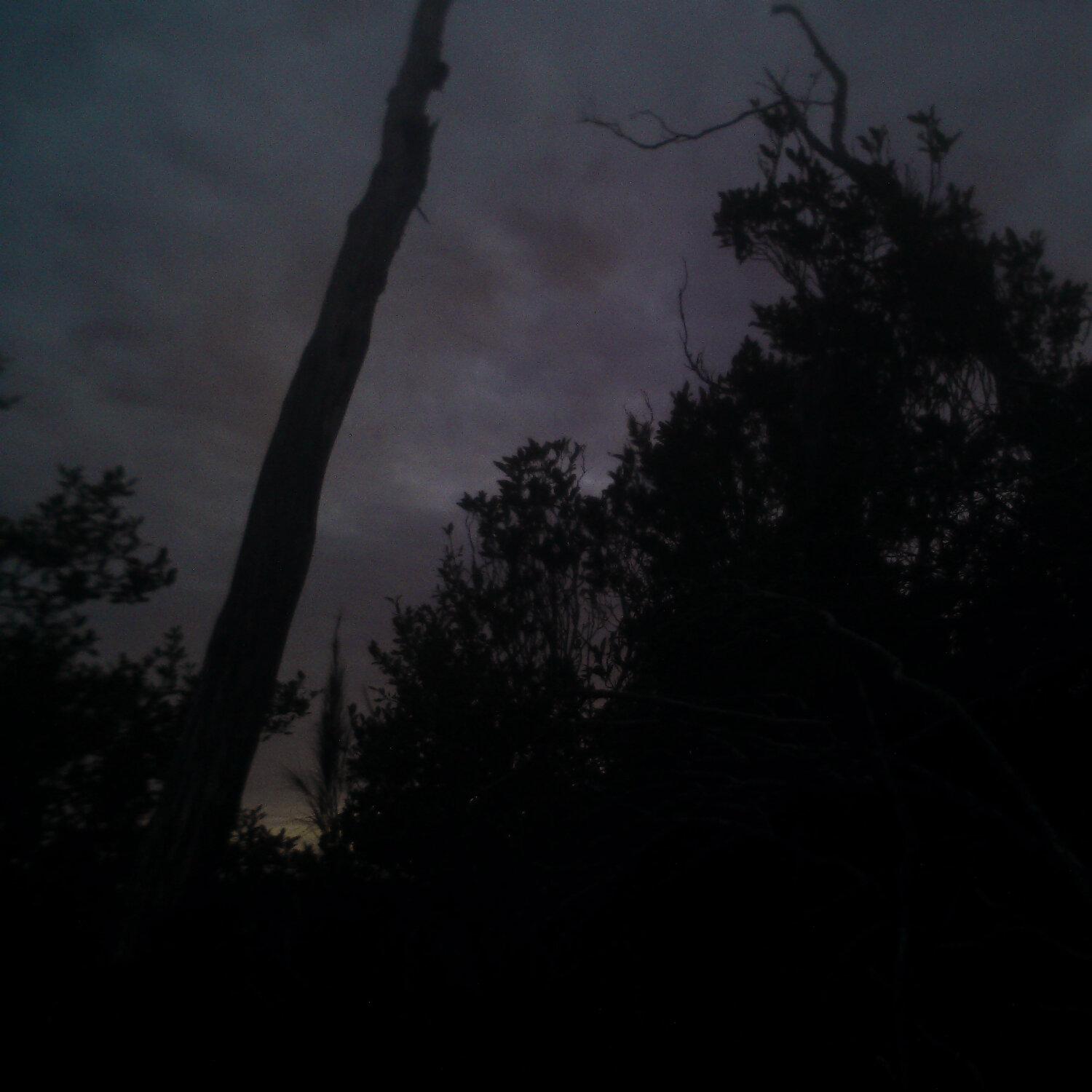 A photo captured from the webcam at the time the audio was recorded
