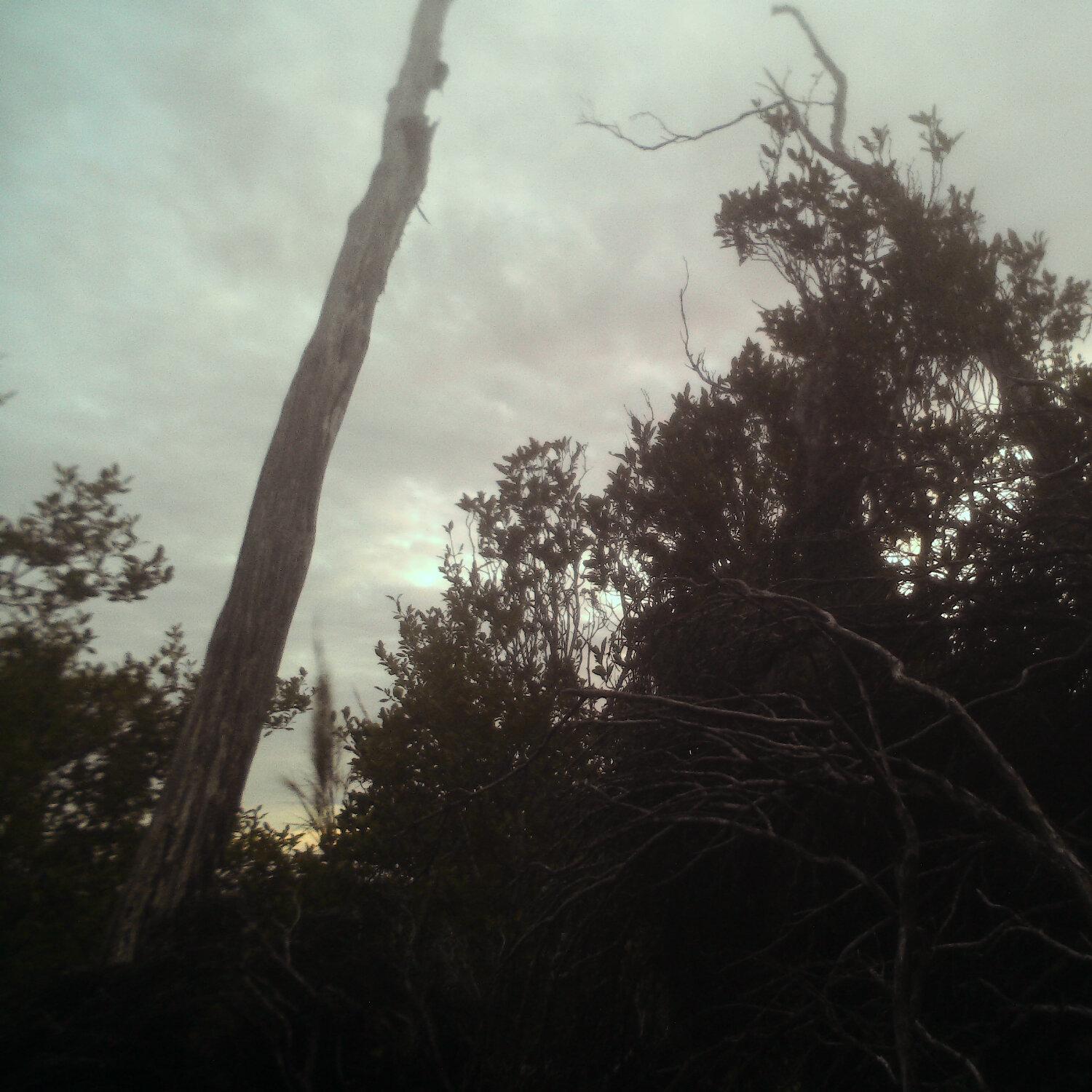 A photo captured from the webcam at the time the audio was recorded