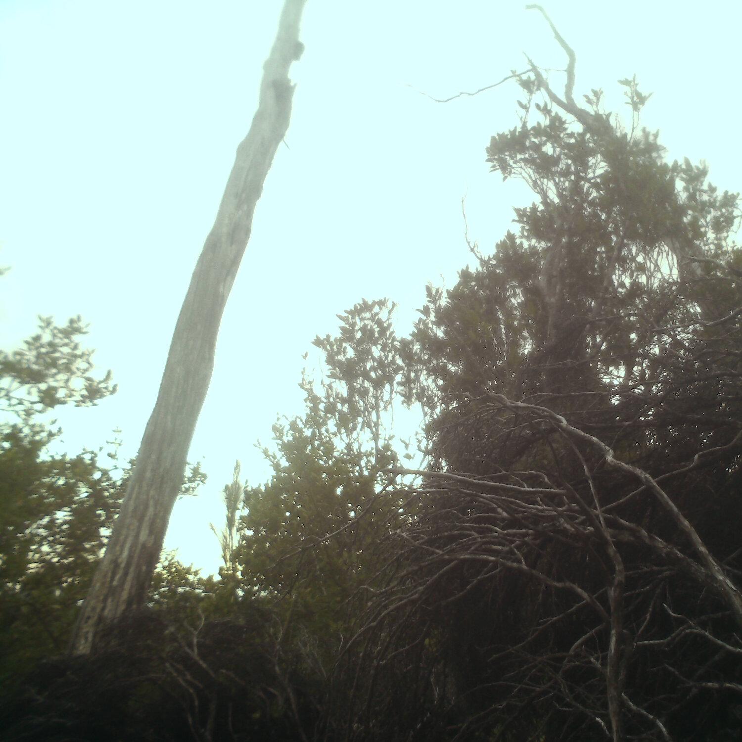 A photo captured from the webcam at the time the audio was recorded