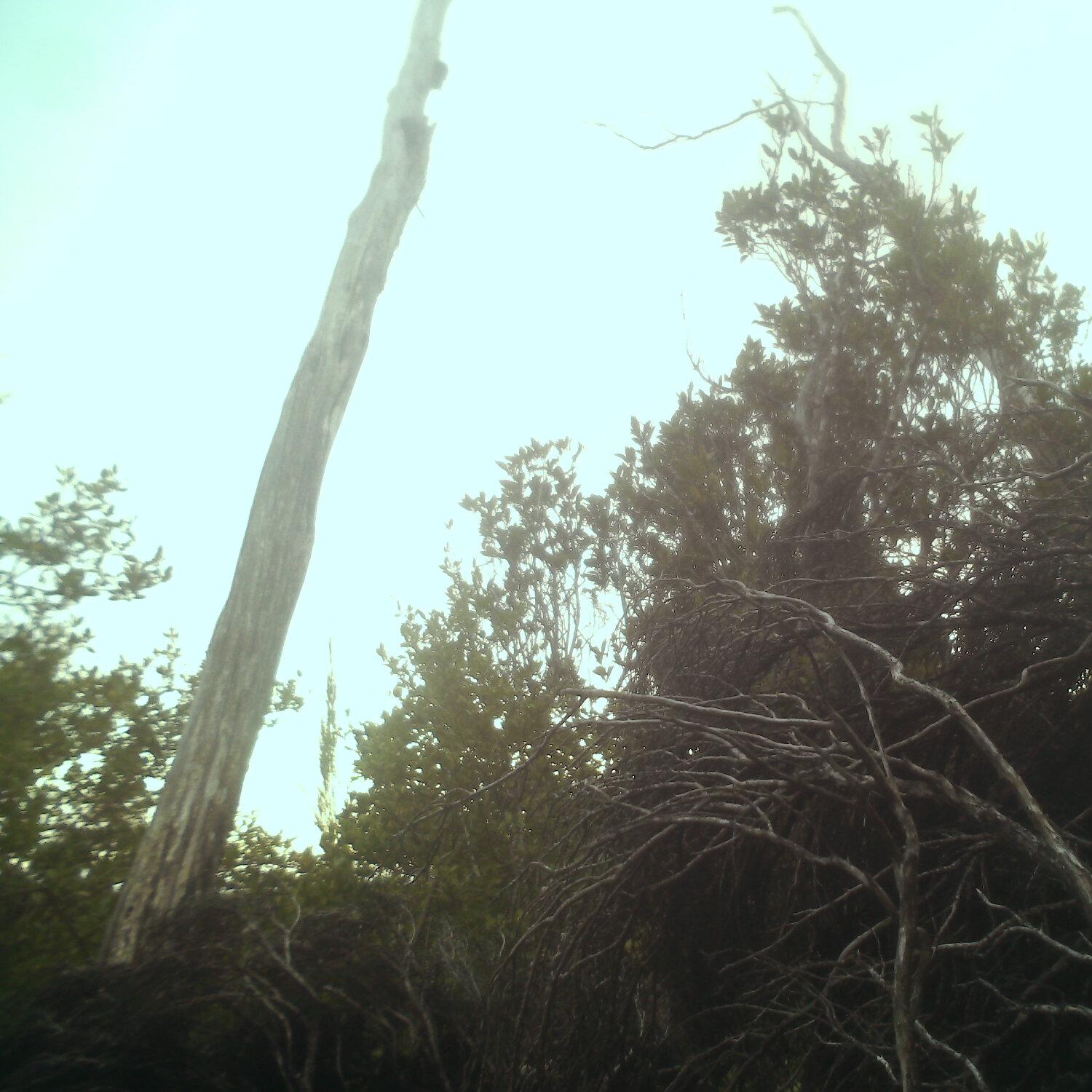 A photo captured from the webcam at the time the audio was recorded