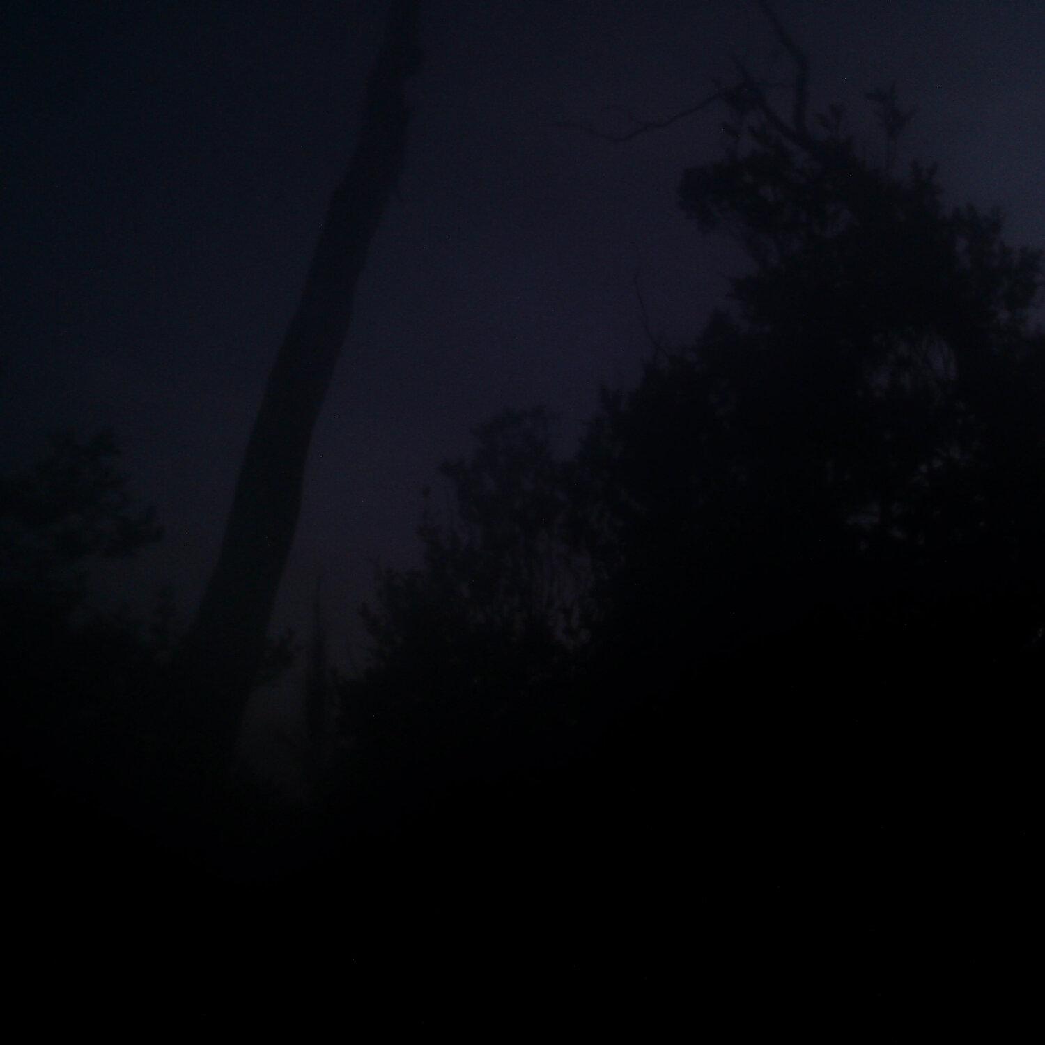 A photo captured from the webcam at the time the audio was recorded