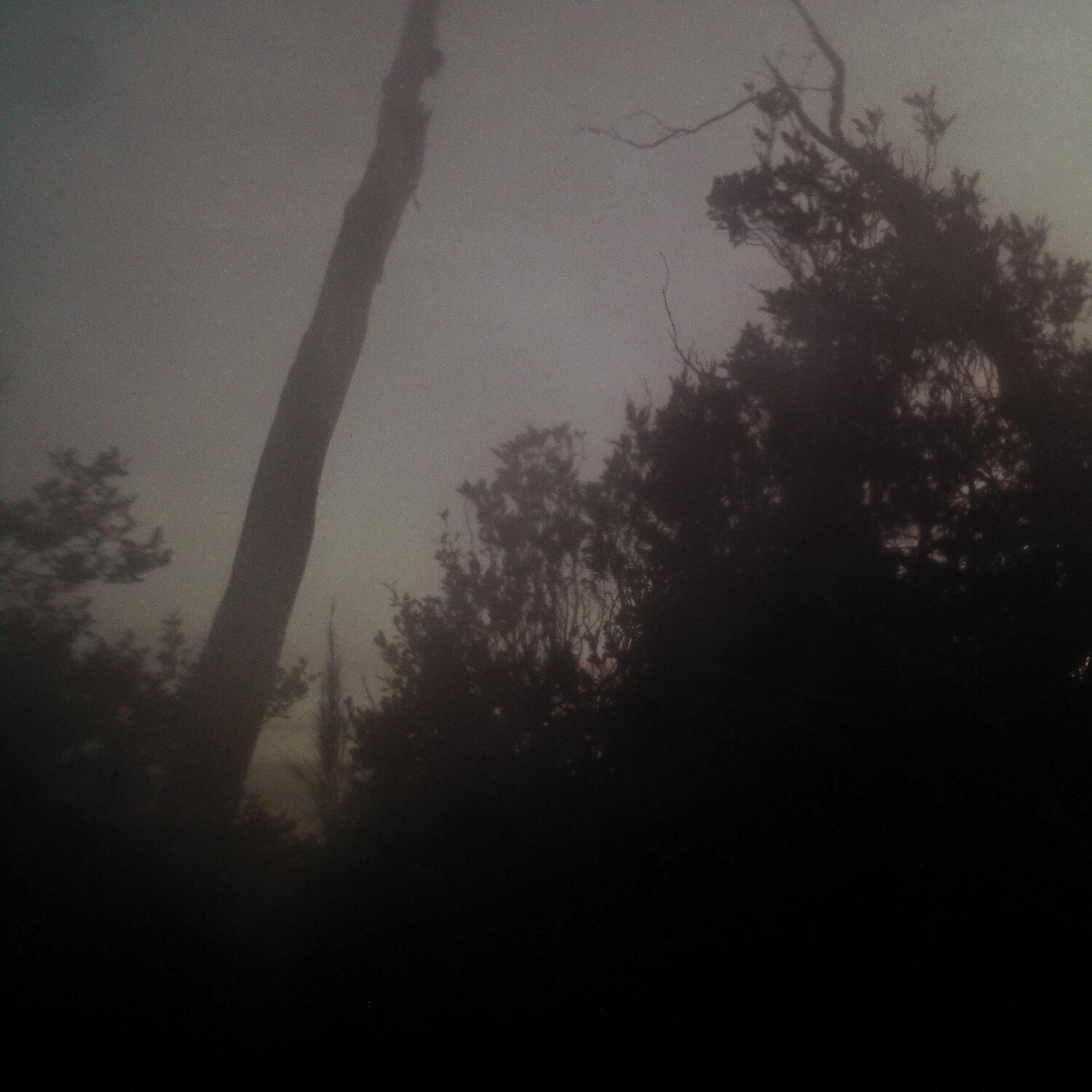 A photo captured from the webcam at the time the audio was recorded