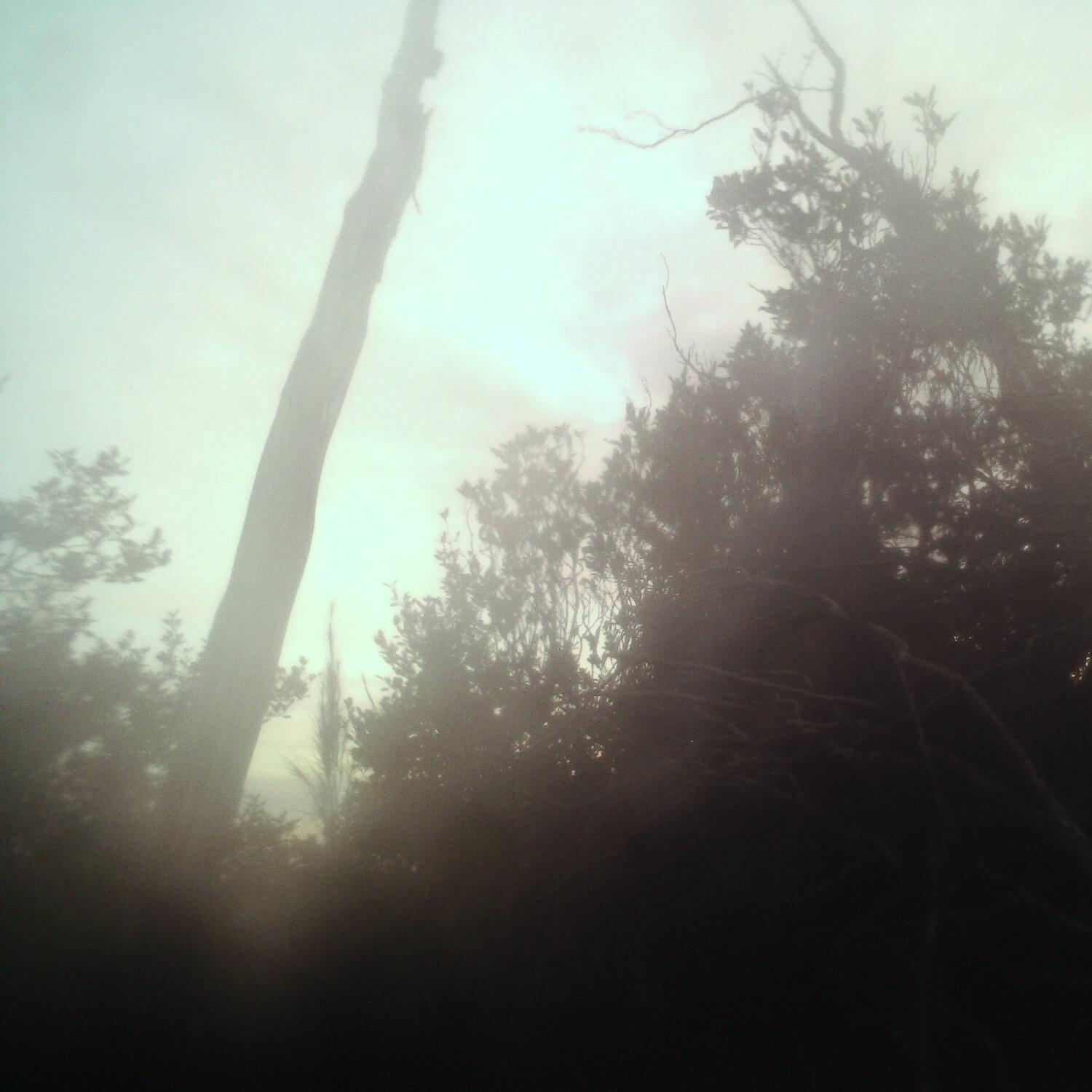 A photo captured from the webcam at the time the audio was recorded