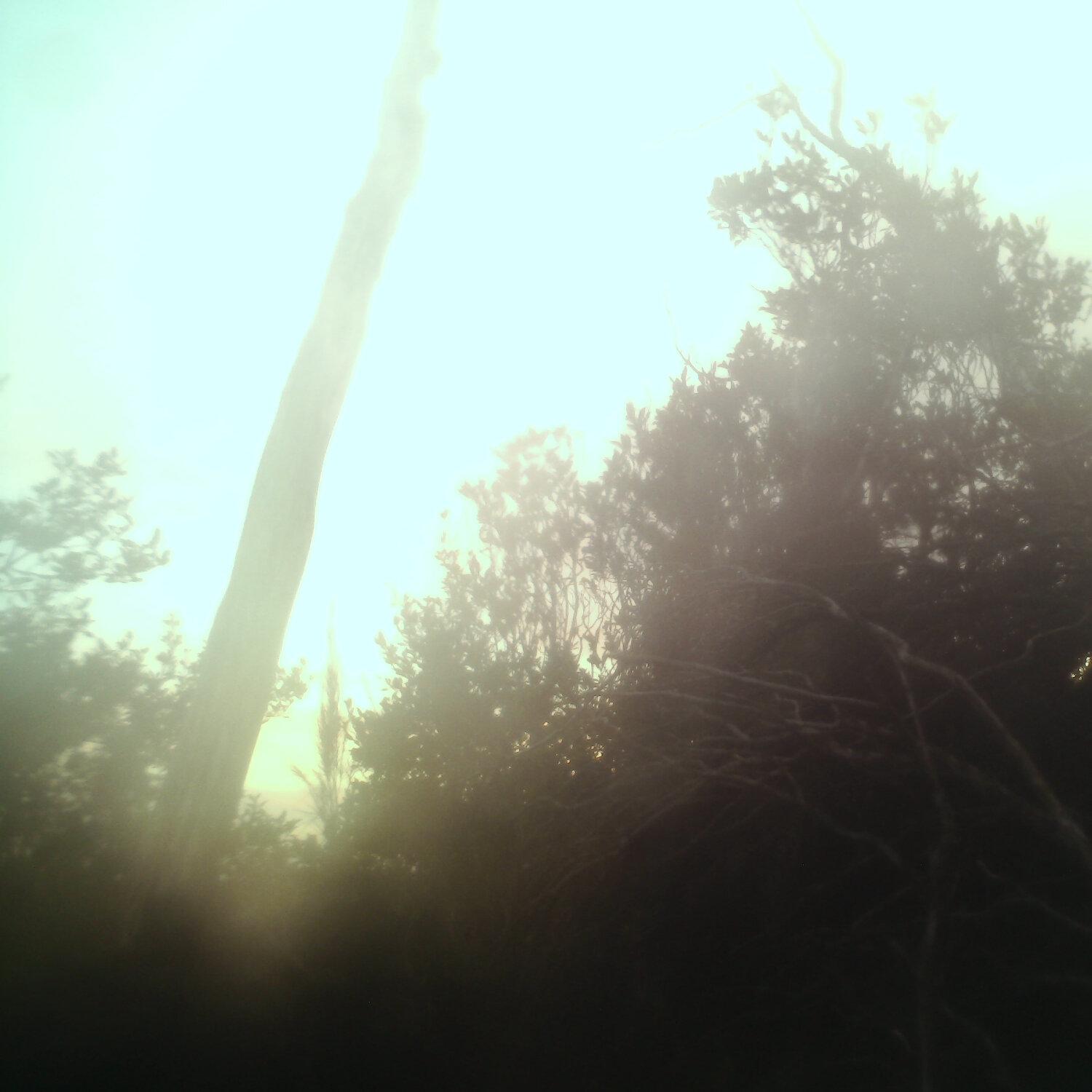 A photo captured from the webcam at the time the audio was recorded