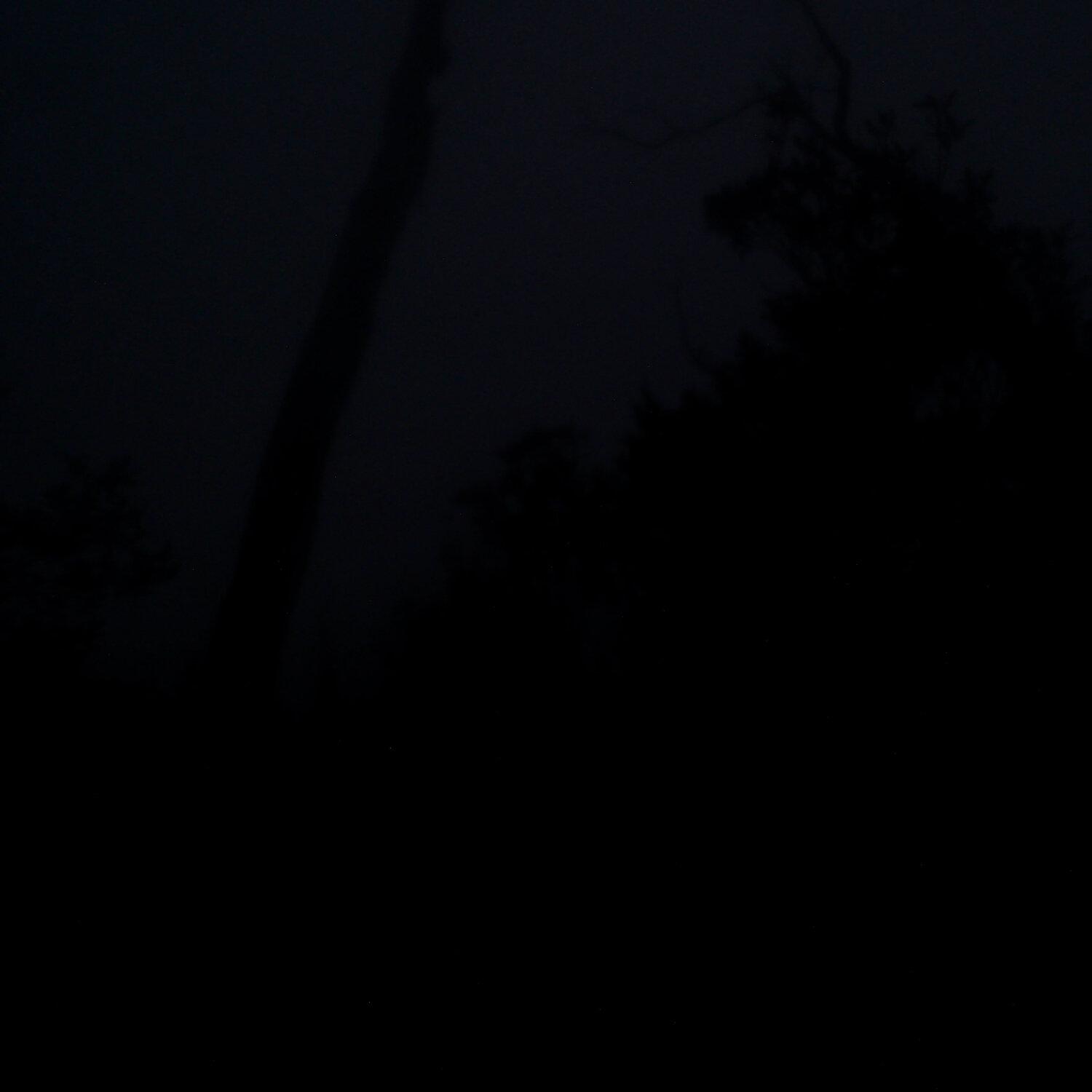 A photo captured from the webcam at the time the audio was recorded
