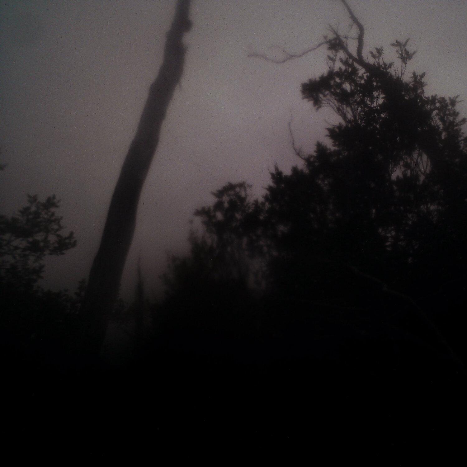 A photo captured from the webcam at the time the audio was recorded