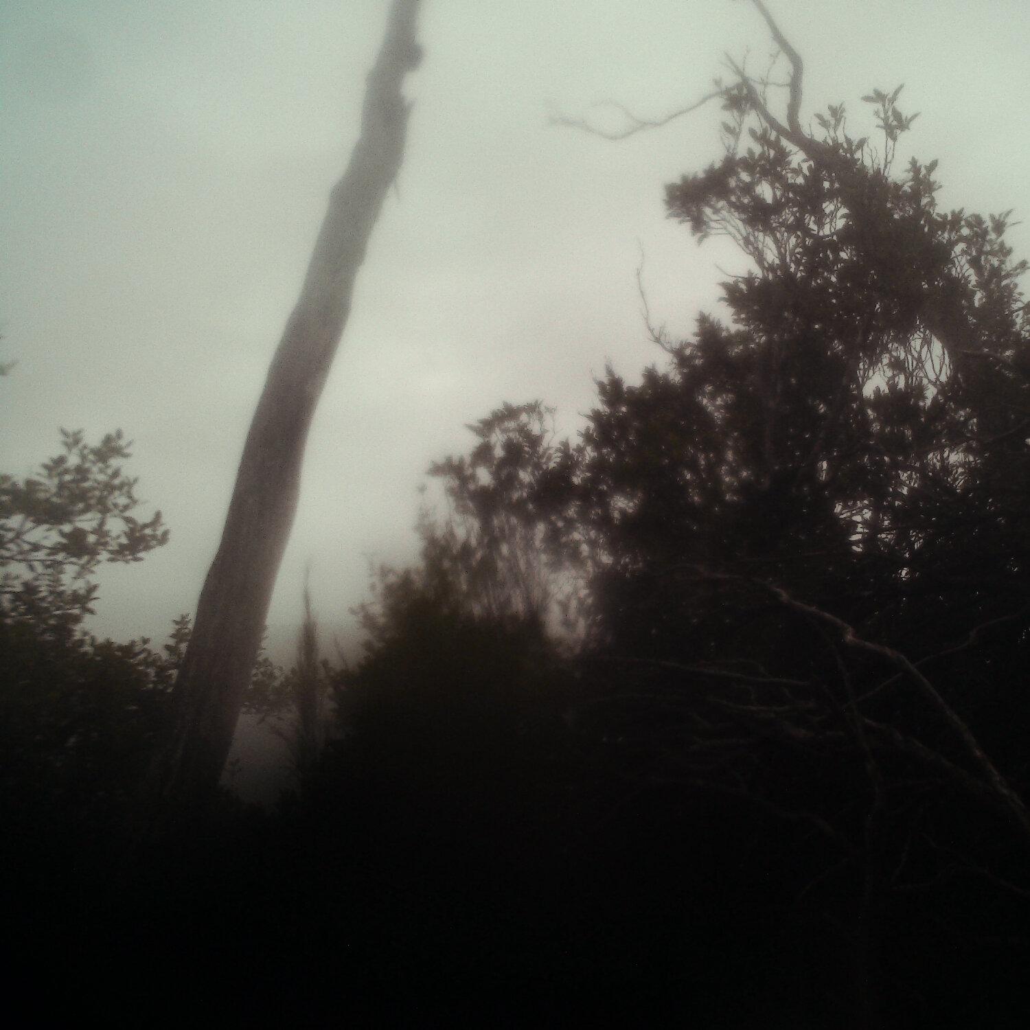 A photo captured from the webcam at the time the audio was recorded