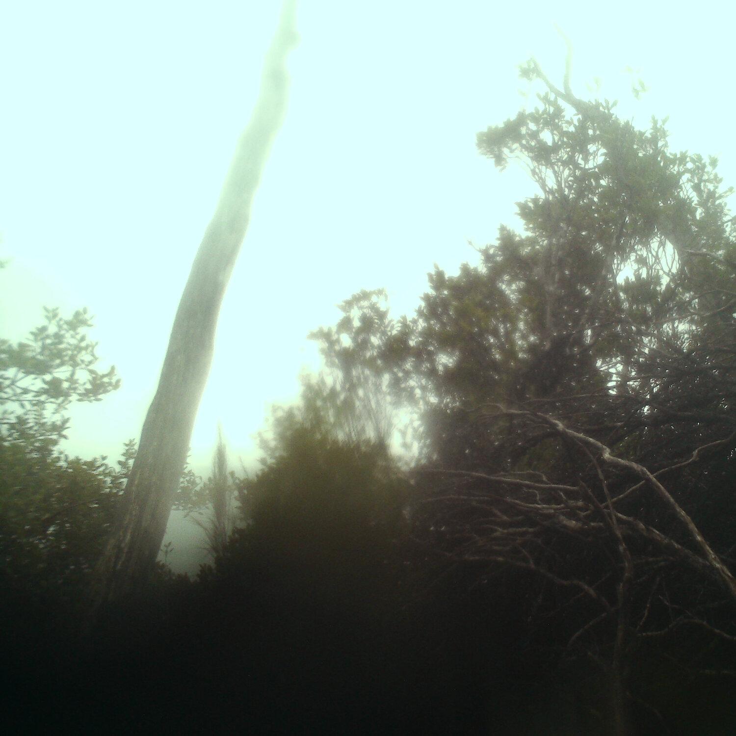 A photo captured from the webcam at the time the audio was recorded