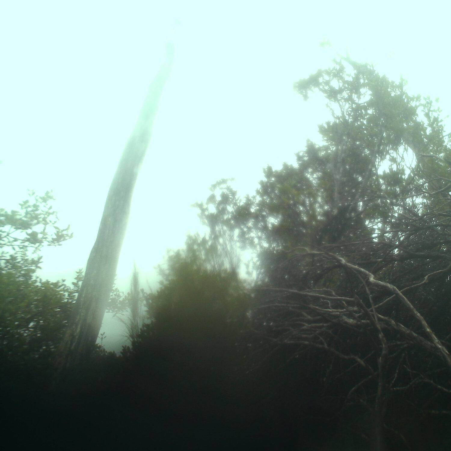 A photo captured from the webcam at the time the audio was recorded