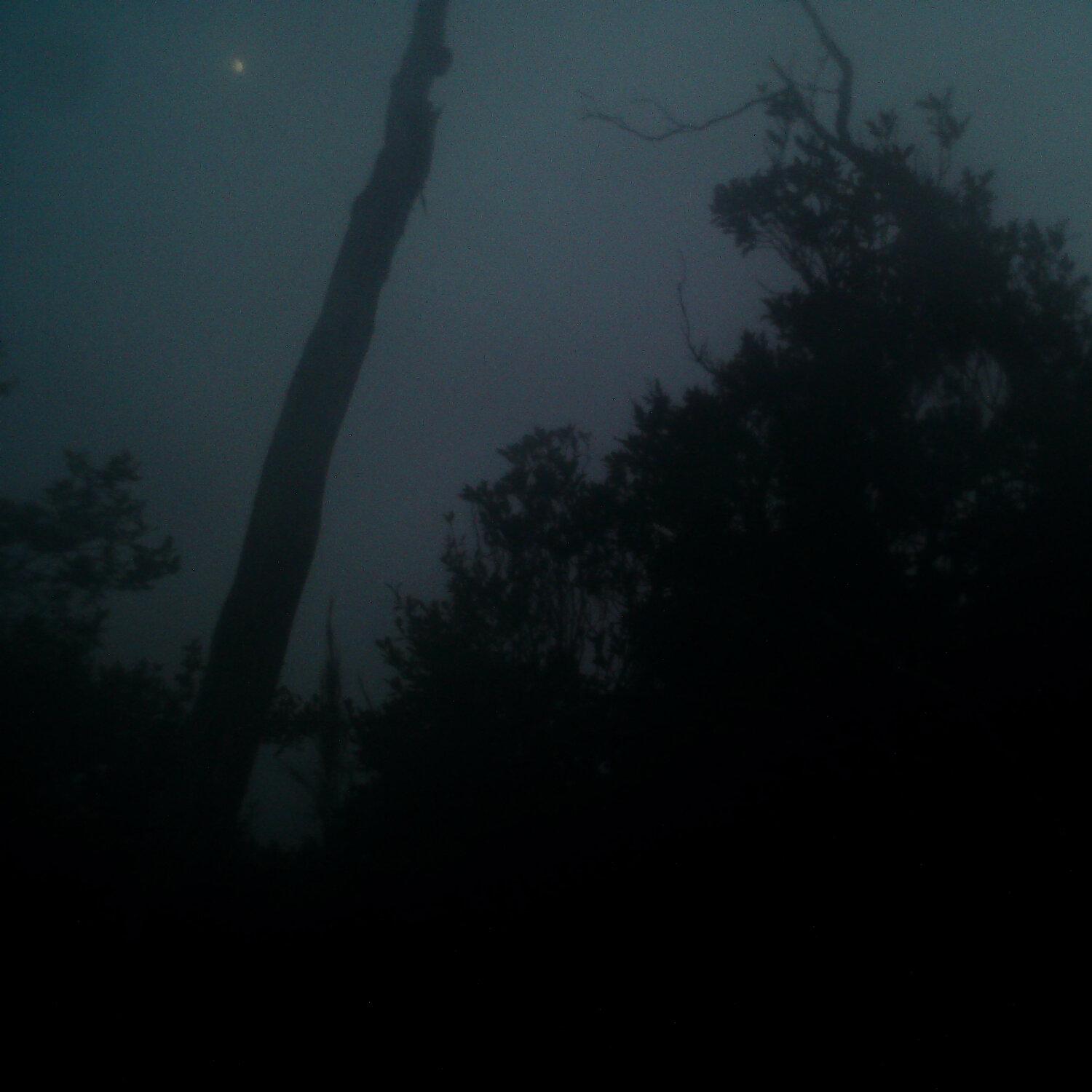 A photo captured from the webcam at the time the audio was recorded