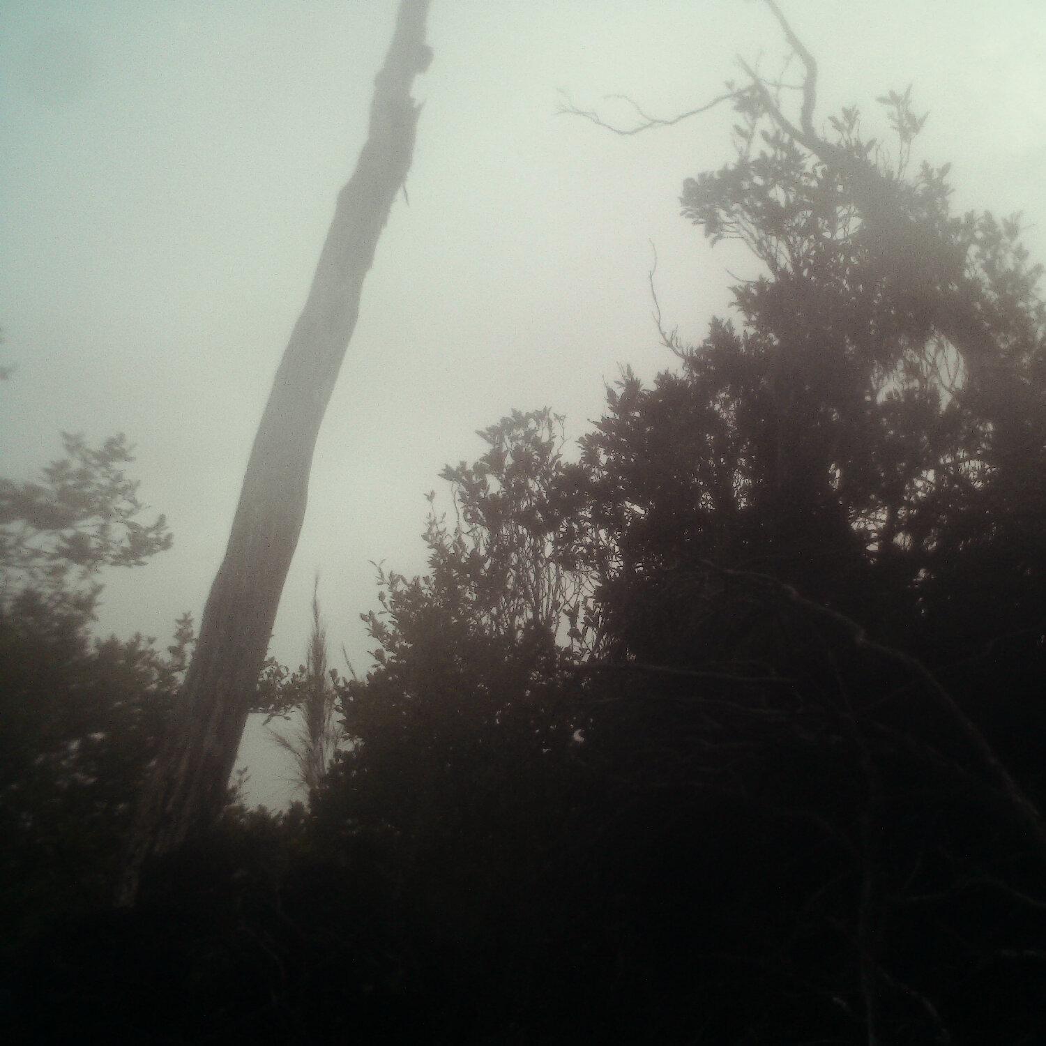 A photo captured from the webcam at the time the audio was recorded