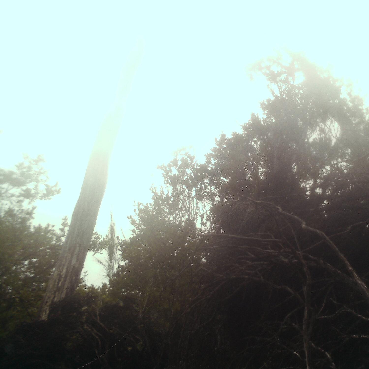 A photo captured from the webcam at the time the audio was recorded