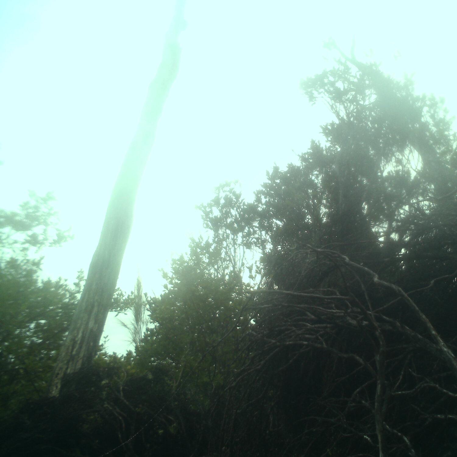 A photo captured from the webcam at the time the audio was recorded