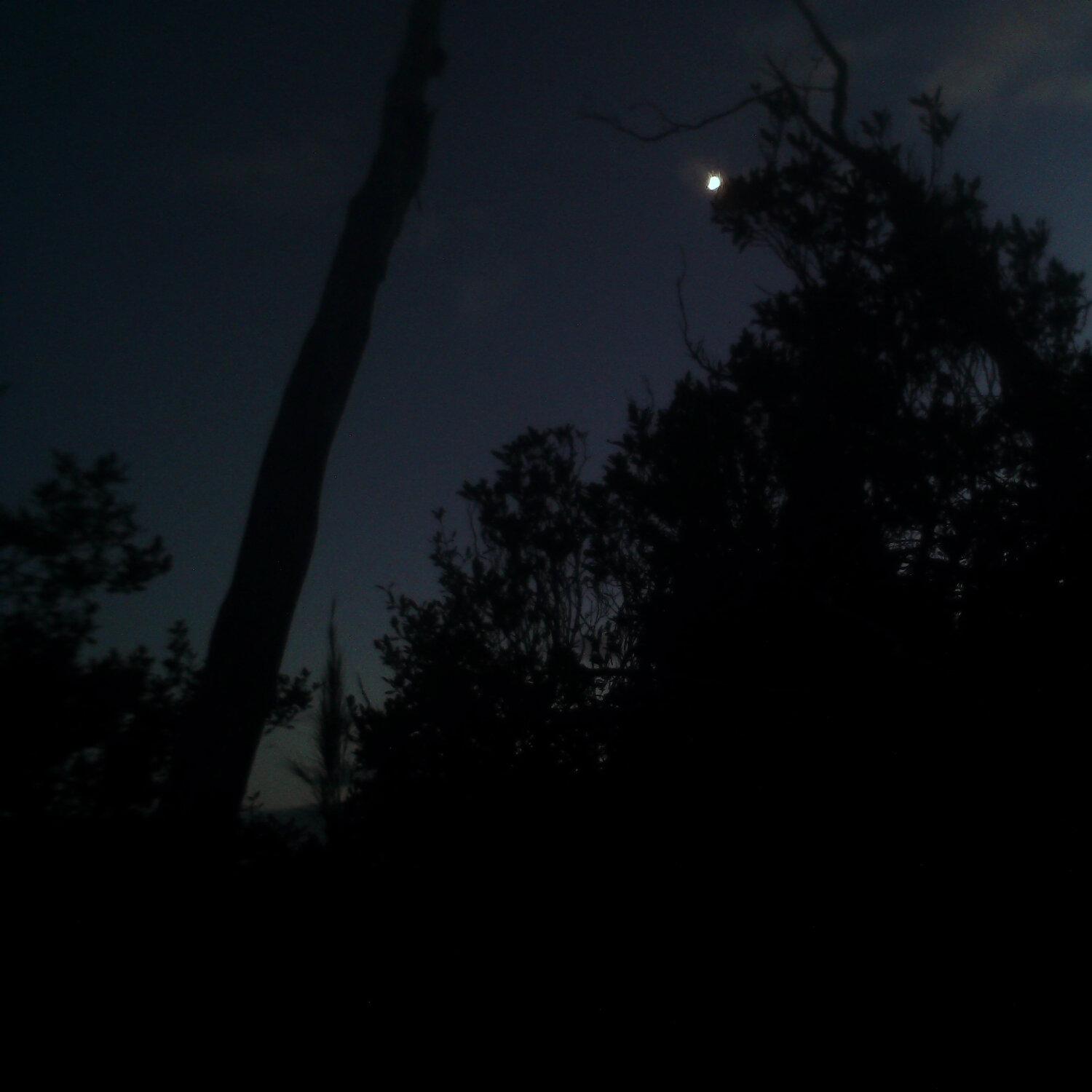 A photo captured from the webcam at the time the audio was recorded
