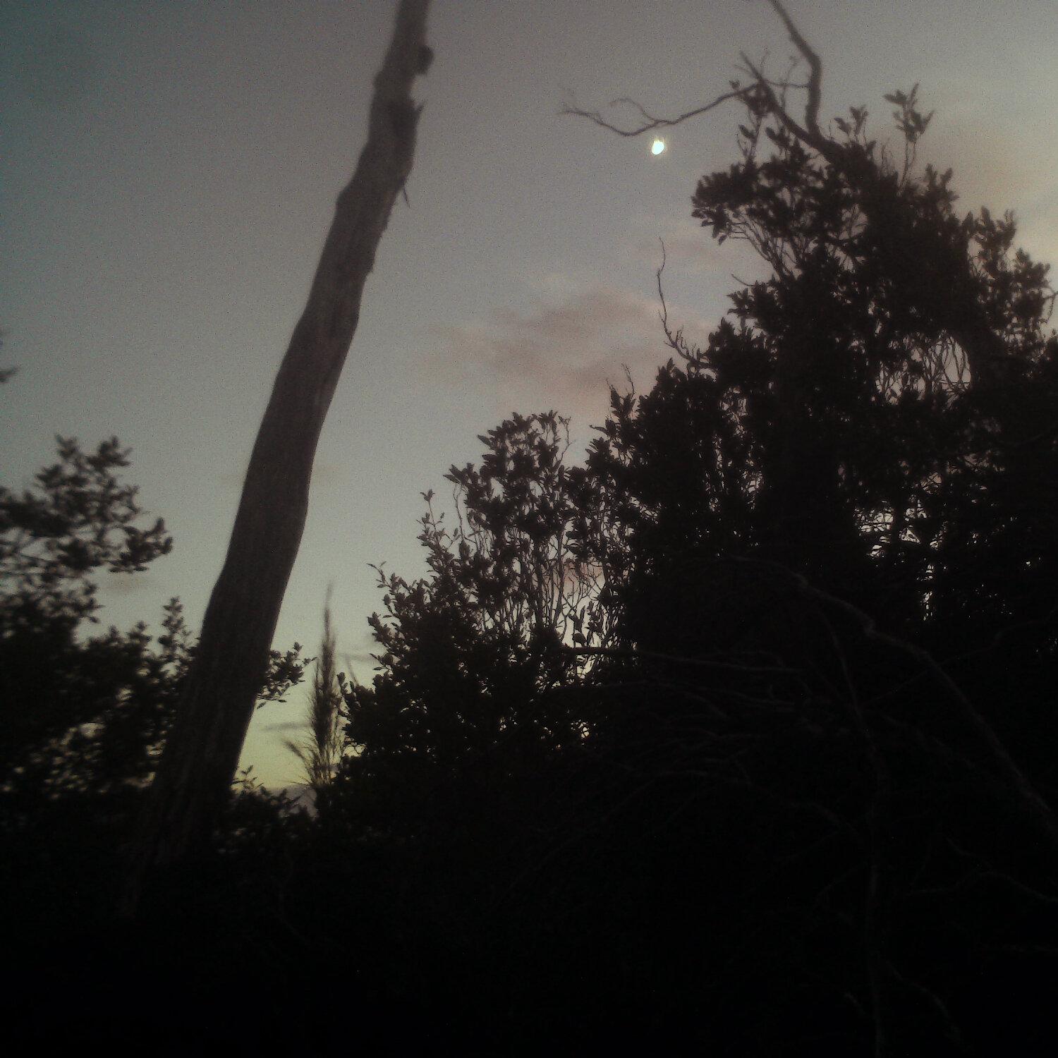 A photo captured from the webcam at the time the audio was recorded